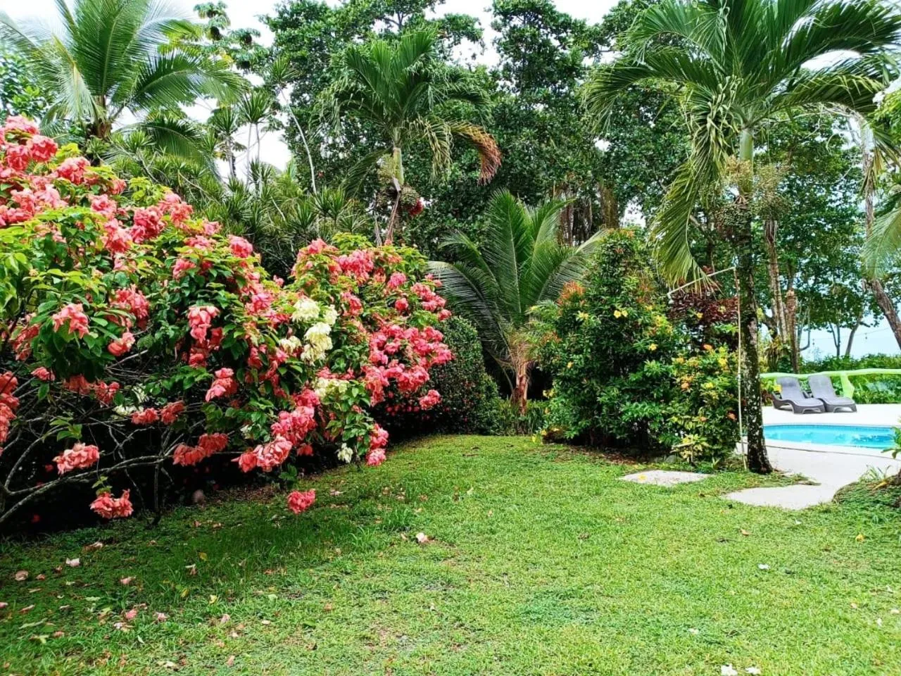 La Diosa Nature Lodge