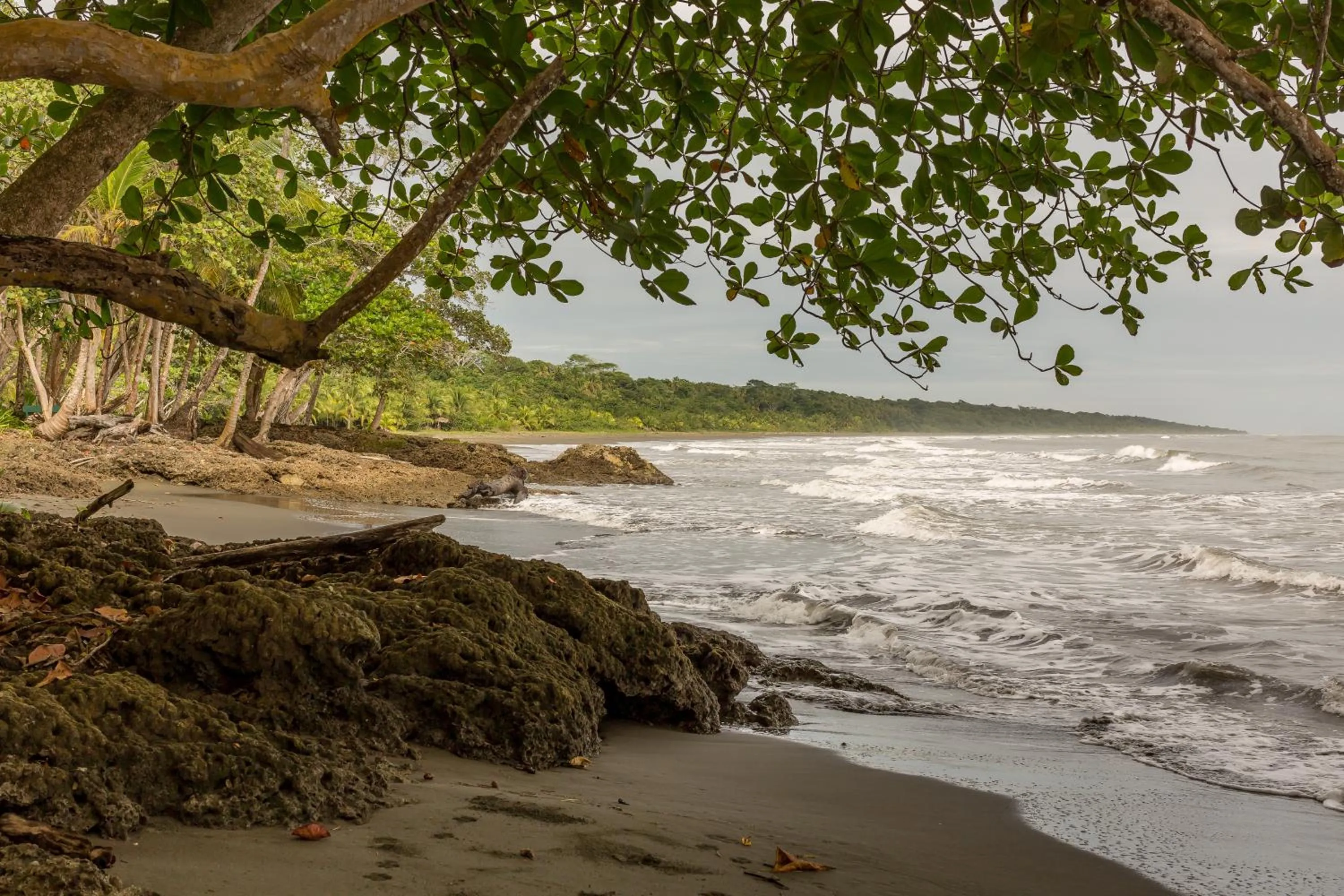 Beach in La Diosa Nature Lodge