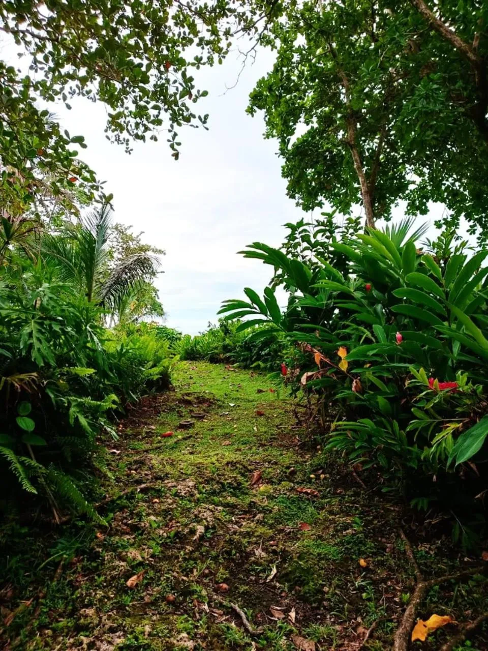La Diosa Nature Lodge