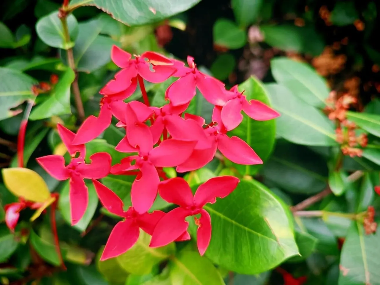 La Diosa Nature Lodge