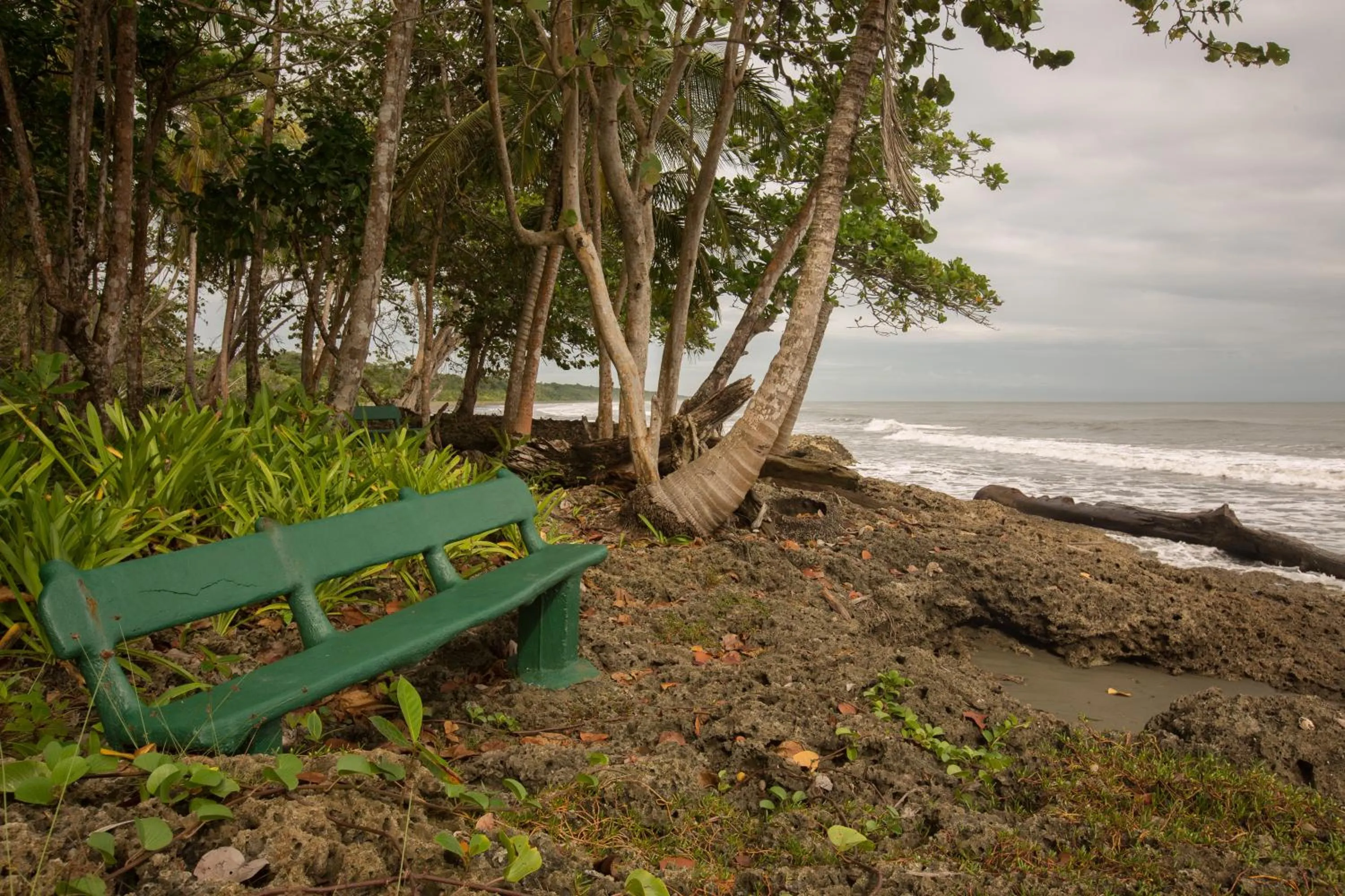 Beach in La Diosa Nature Lodge