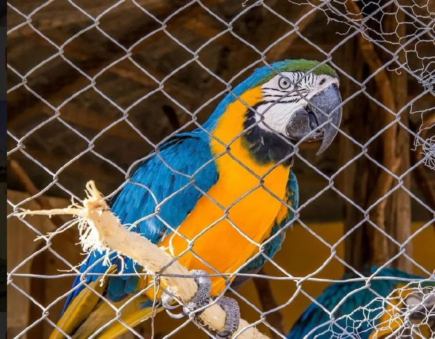 Paraty Hotel Fazenda & Spa