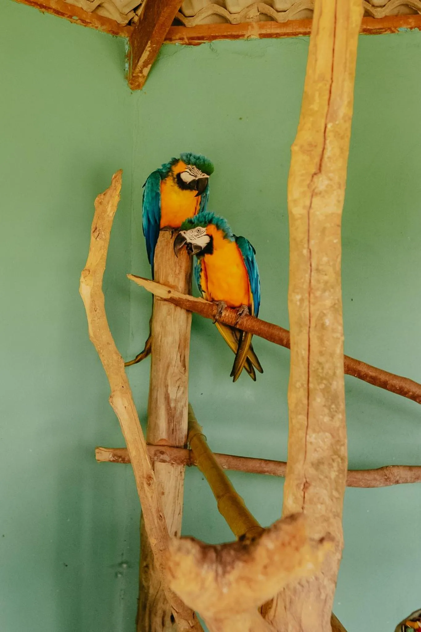 Paraty Hotel Fazenda & Spa