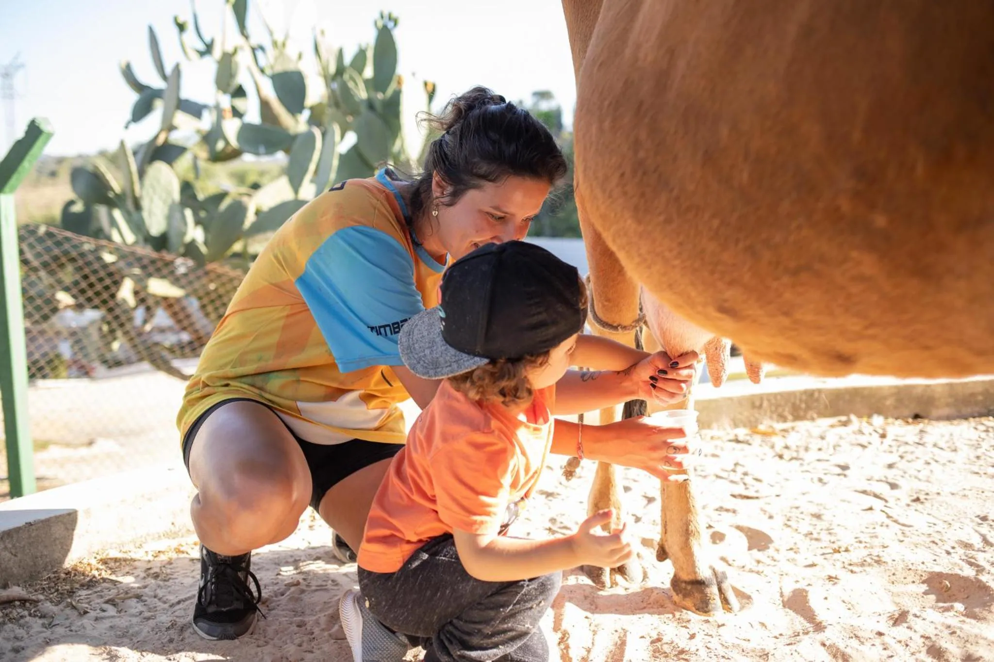 Paraty Hotel Fazenda & Spa