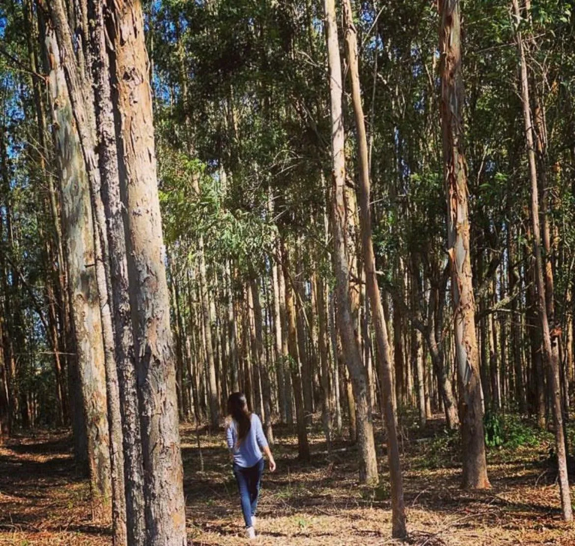 Paraty Hotel Fazenda & Spa