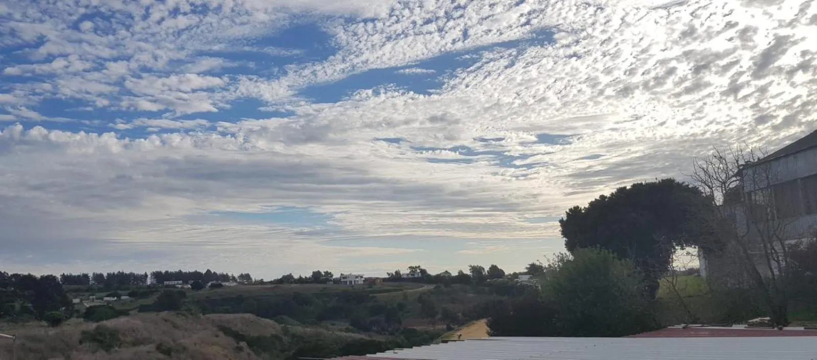 Natural landscape in Strandvagen Maitencillo