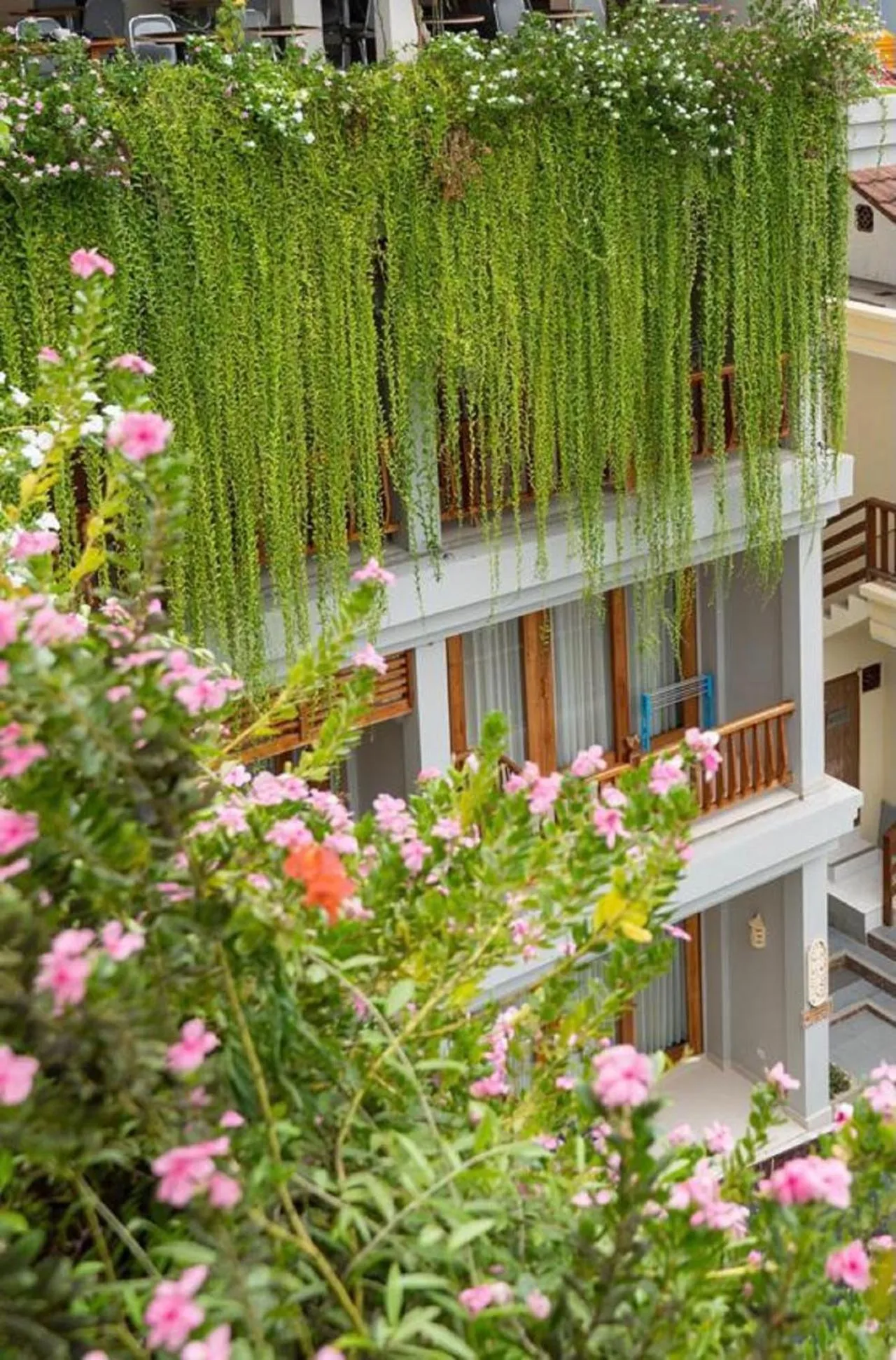 Property building in Komodo Lodge