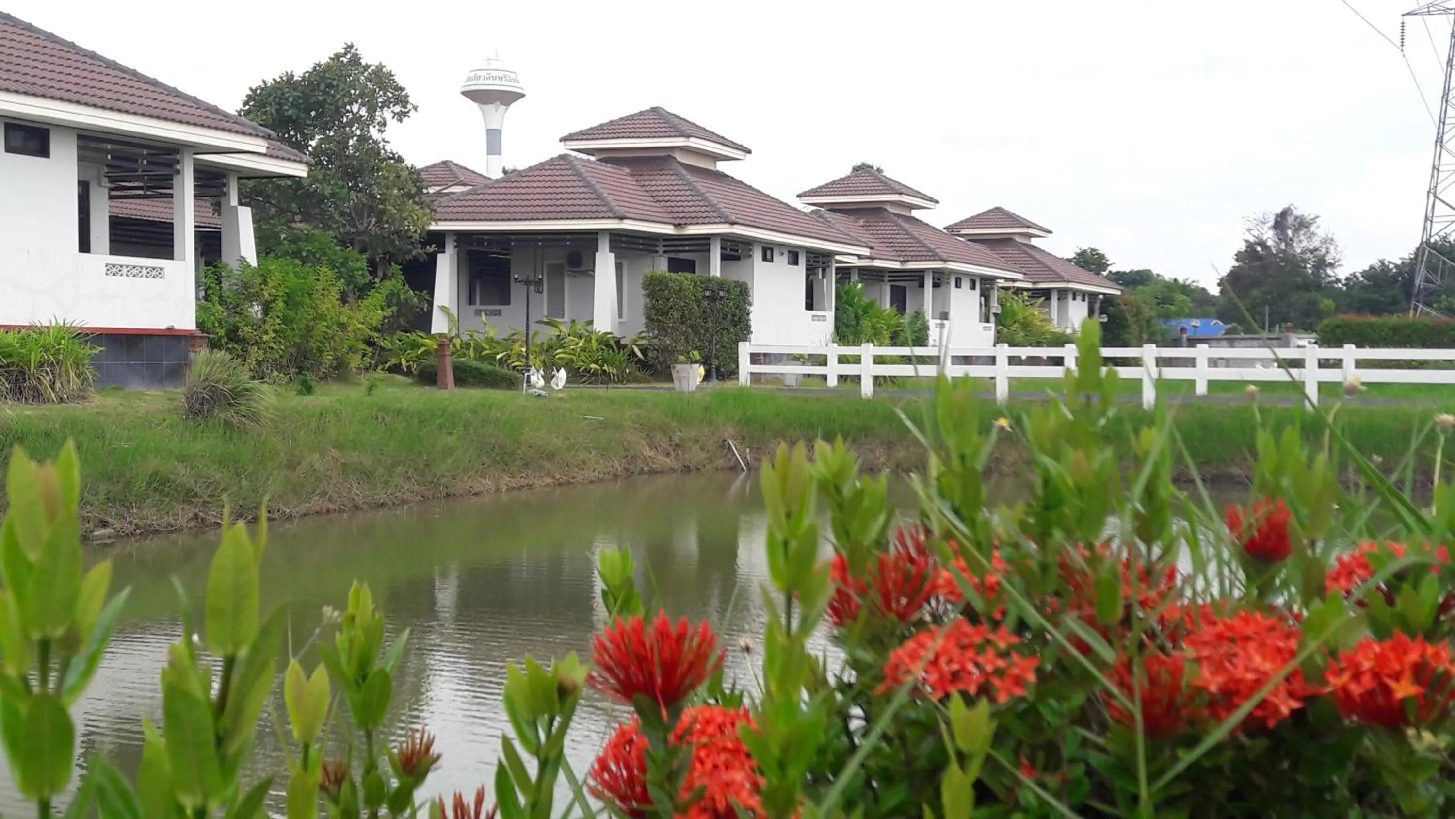 Natural landscape in Tokyo Country Inn