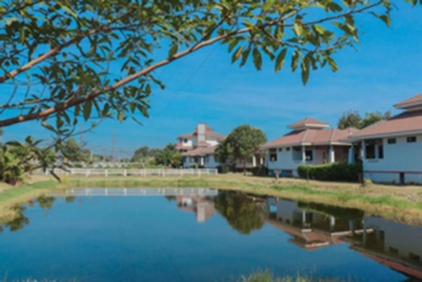 Lake view in Tokyo Country Inn