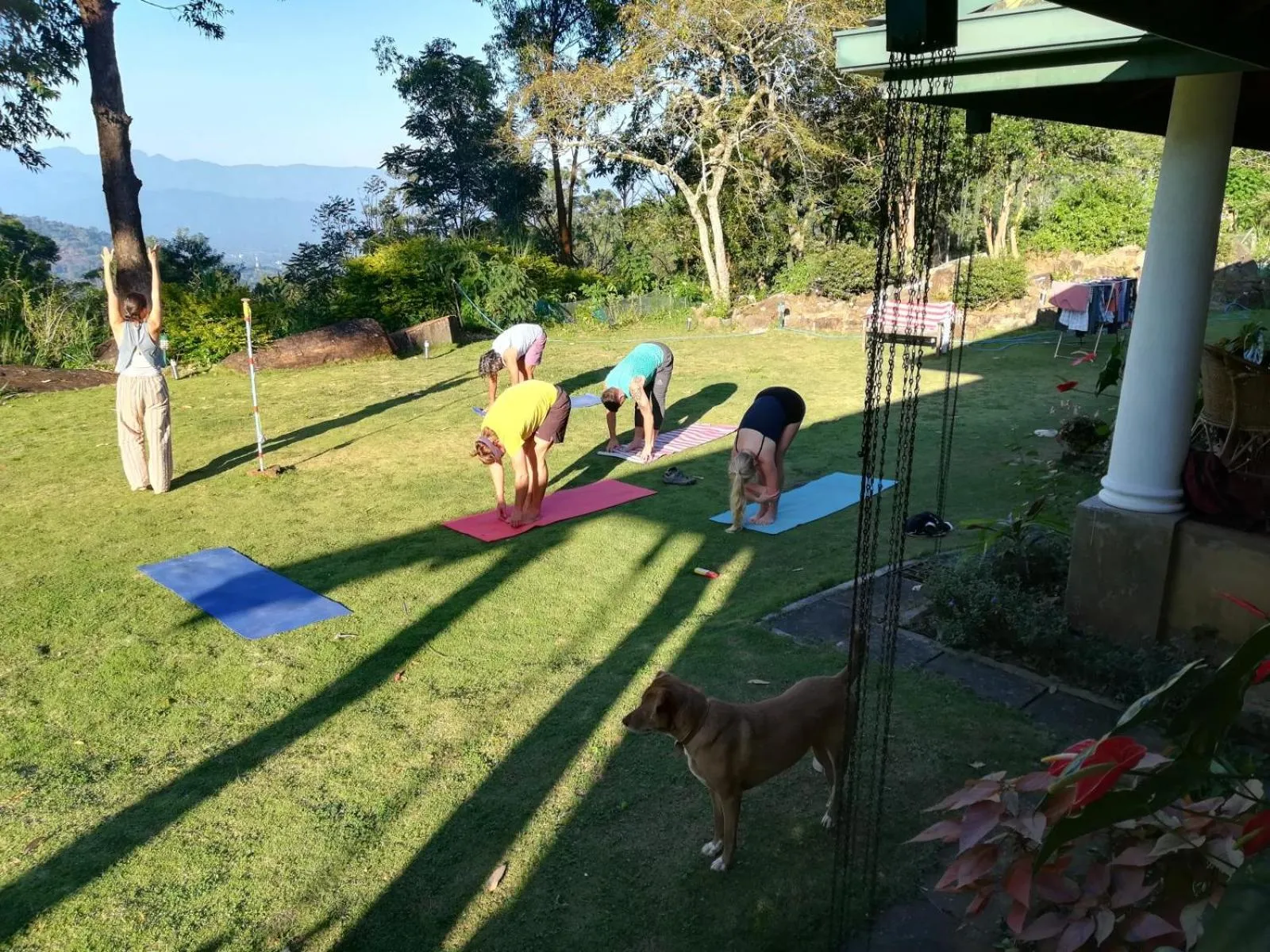 Activities in Jungle Tide