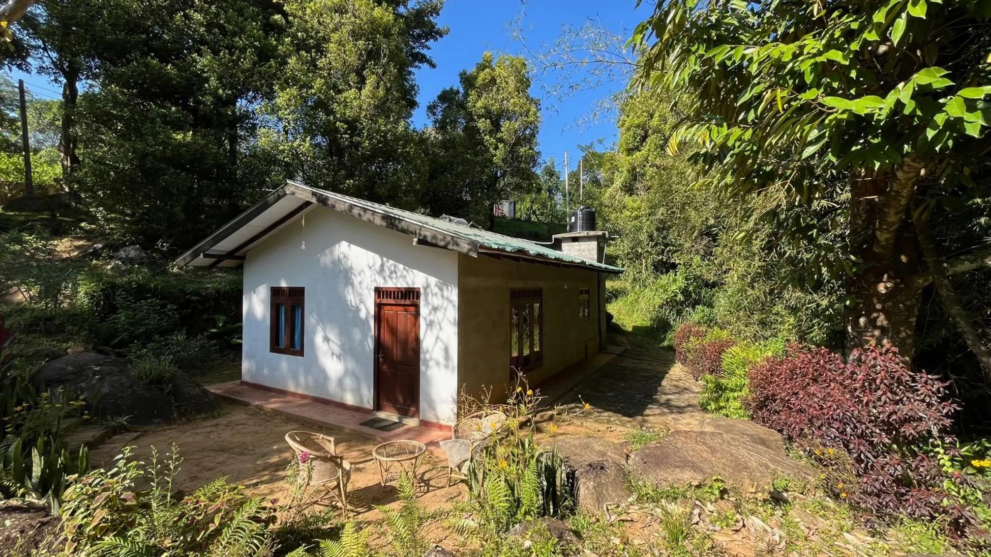Property building in Jungle Tide