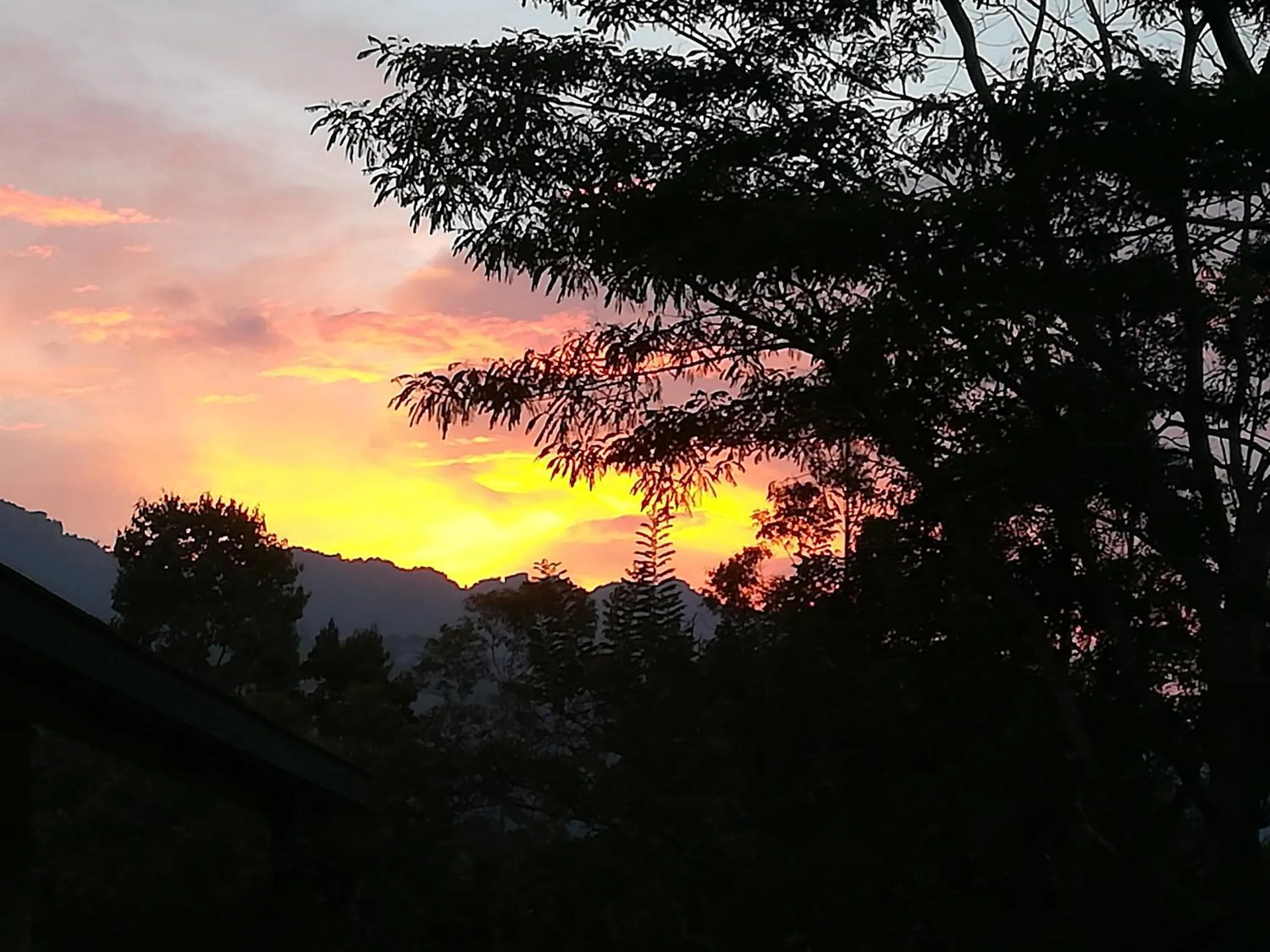 Sunset in Jungle Tide