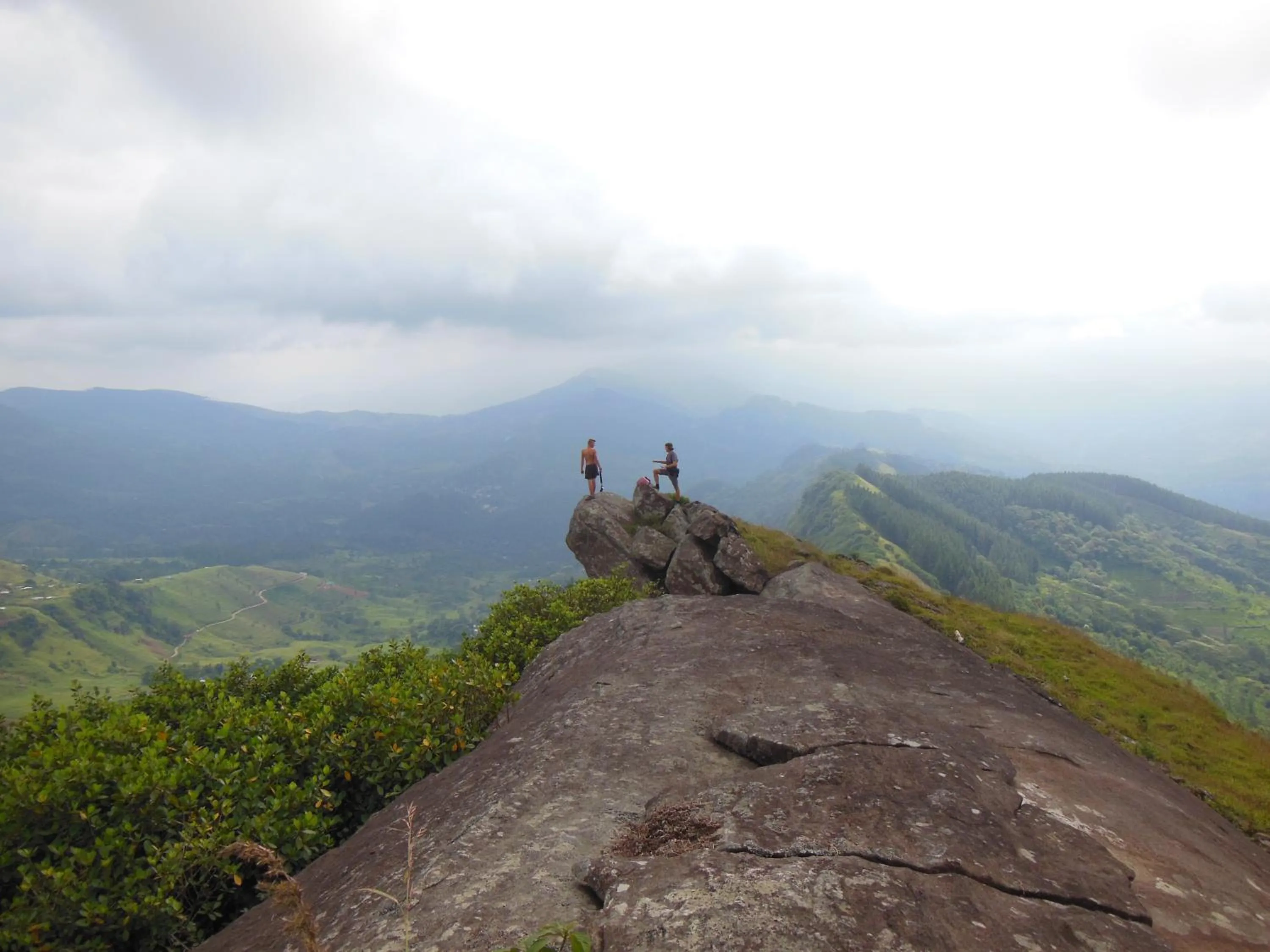 Hiking in Jungle Tide