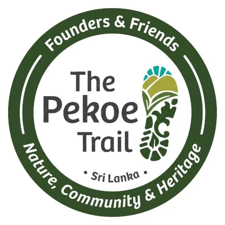 Hiking in Jungle Tide