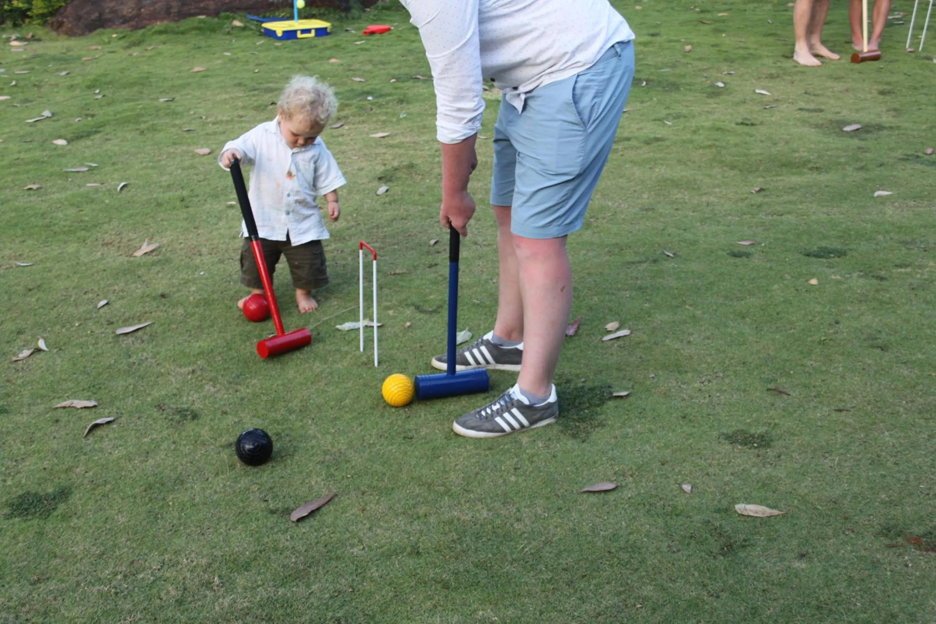 Activities in Jungle Tide