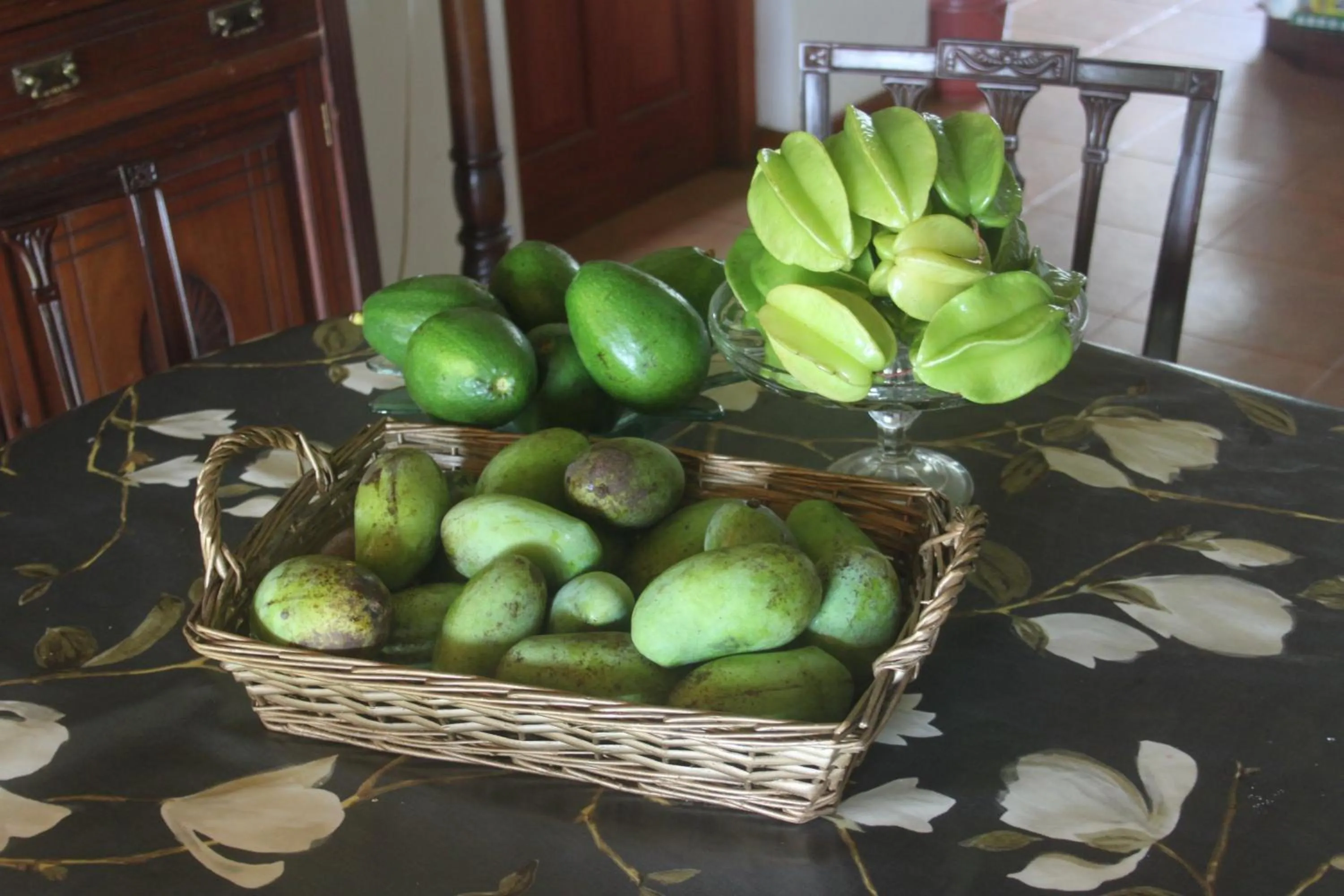 Food close-up in Jungle Tide