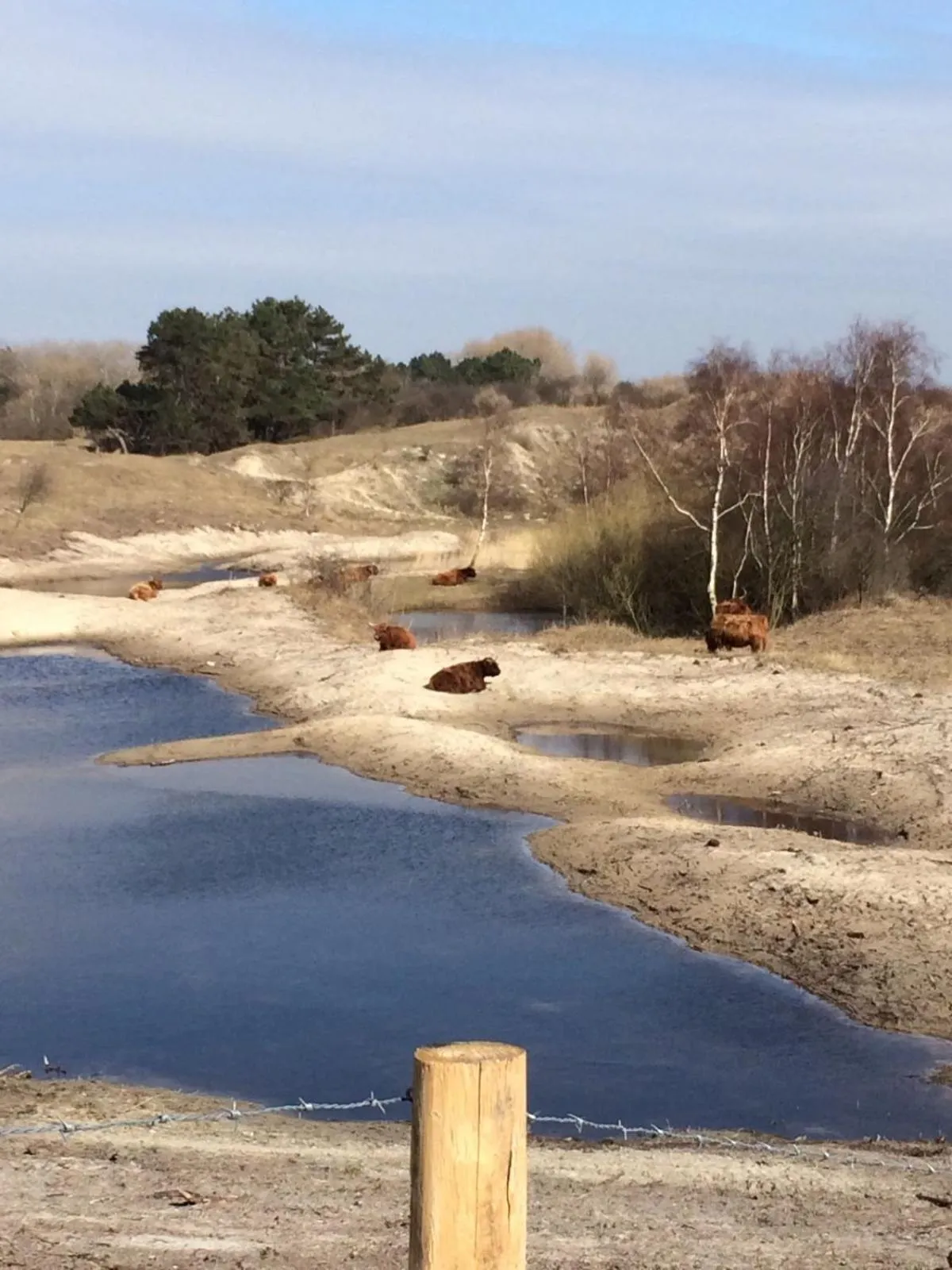 Nearby landmark in Badhotel Rockanje