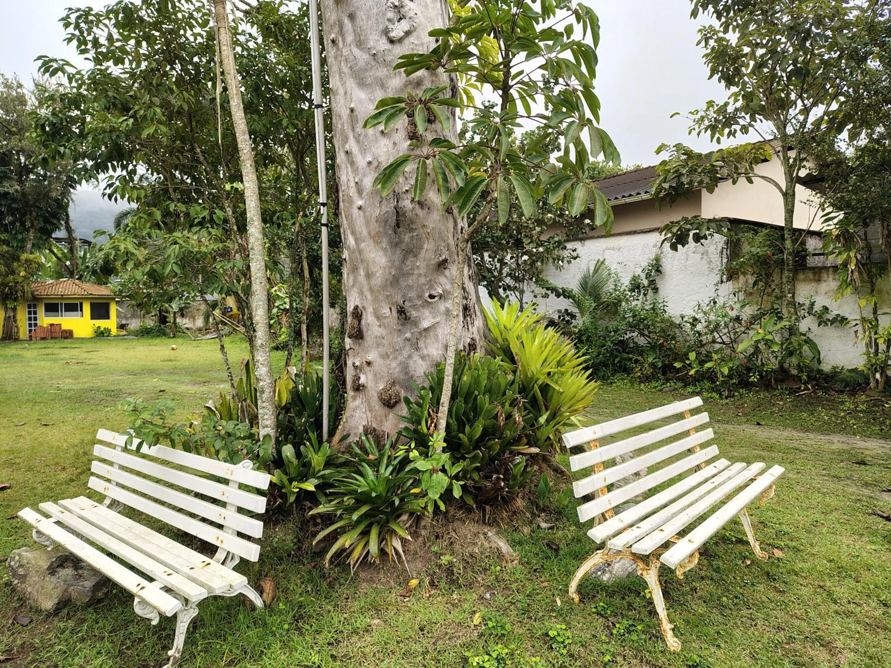 Spring in Pousada Lambaris Pereque Guarujá