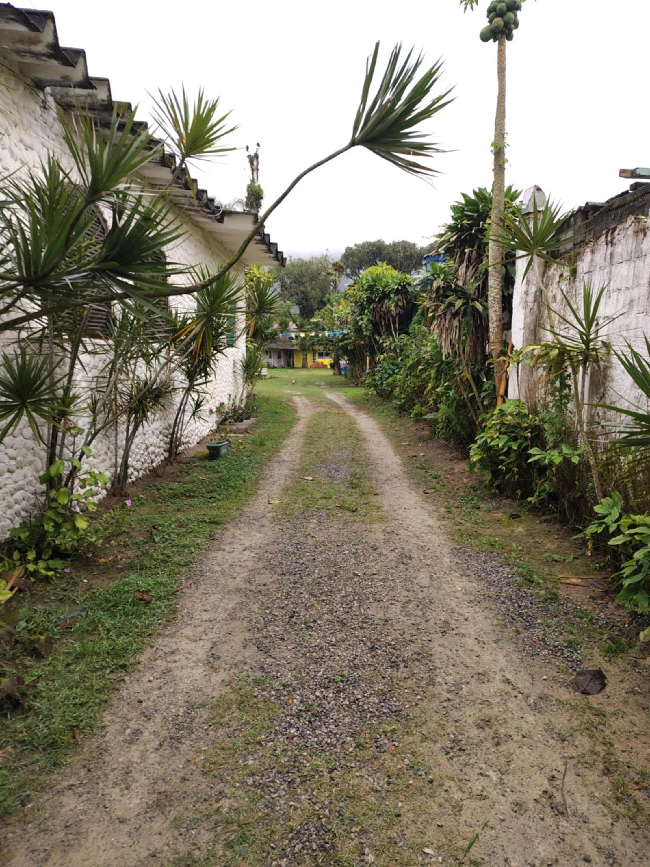Natural landscape in Pousada Lambaris Pereque Guarujá