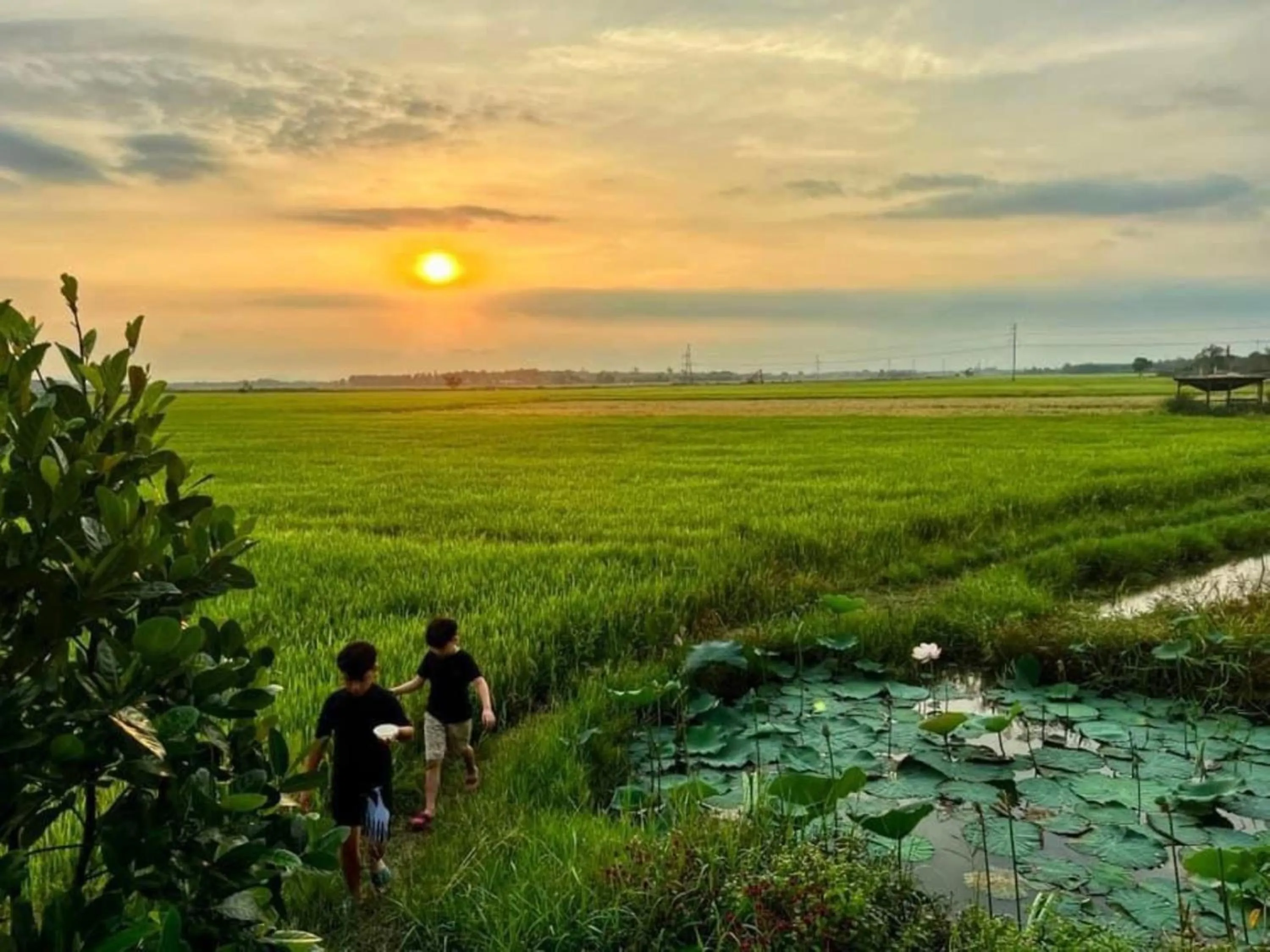 Natural landscape in The Ruong Resort