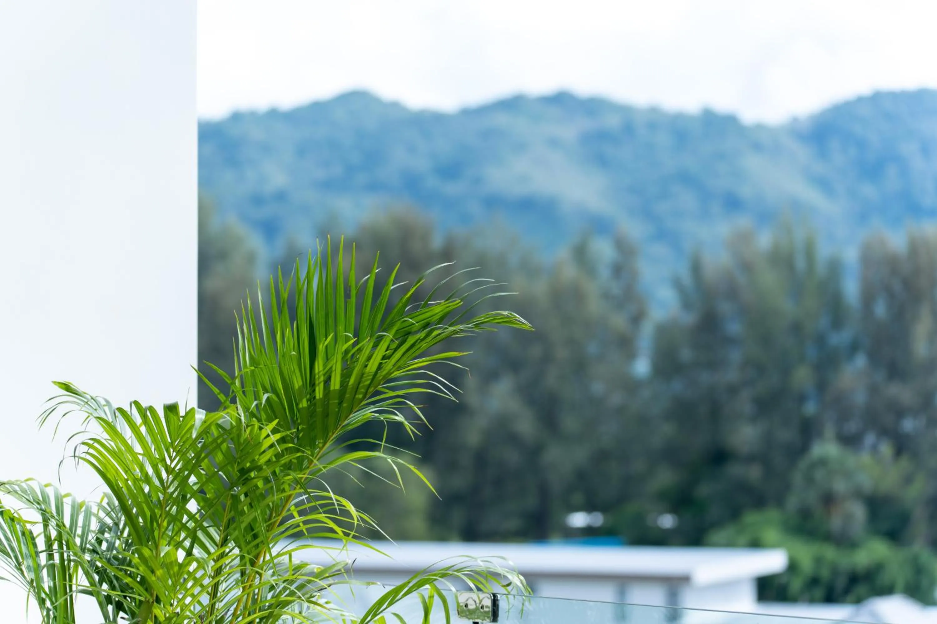 Restaurant/places to eat in Sole Mio Boutique Hotel and Wellness - Adults Only