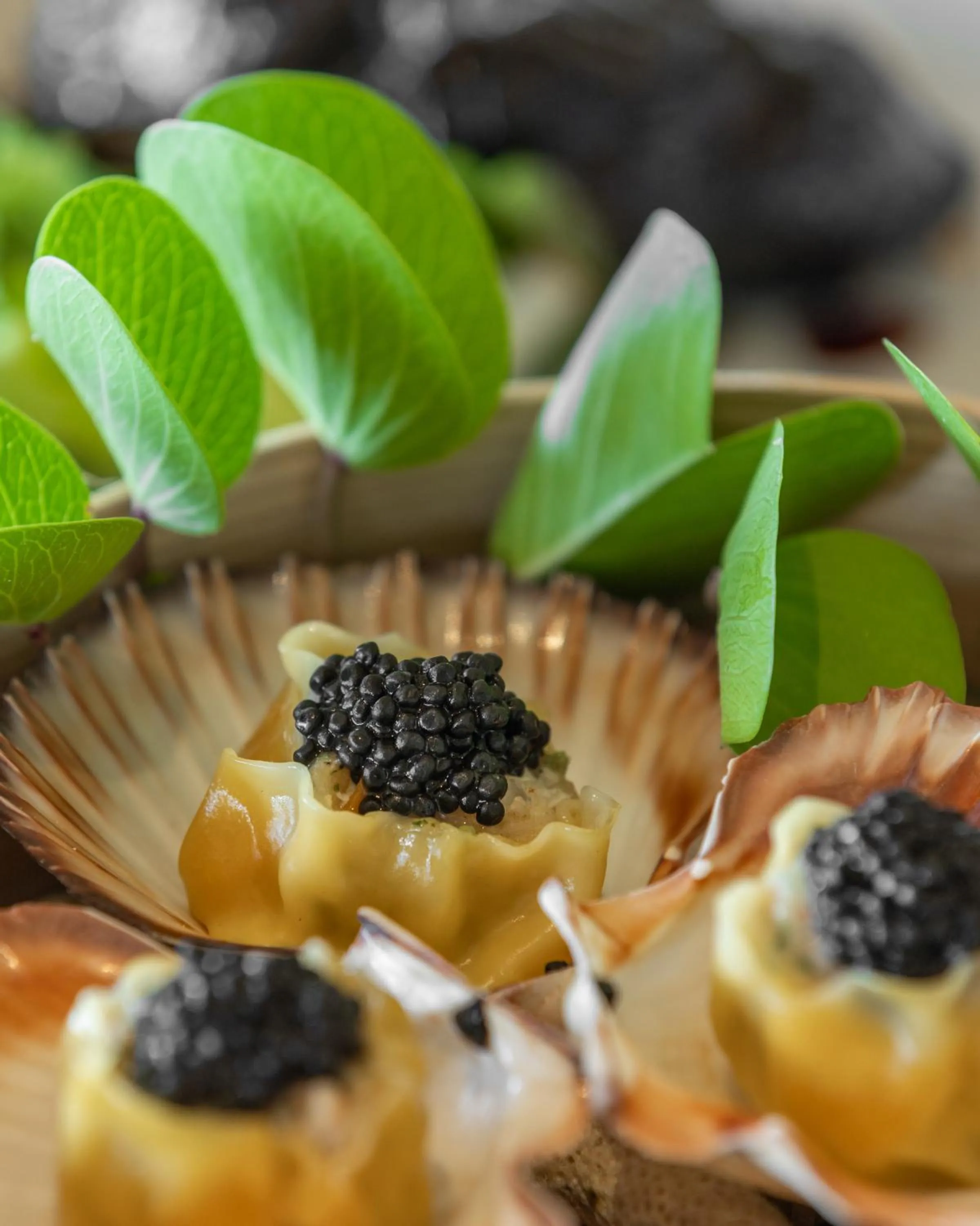 Restaurant/places to eat in SO/ Maldives