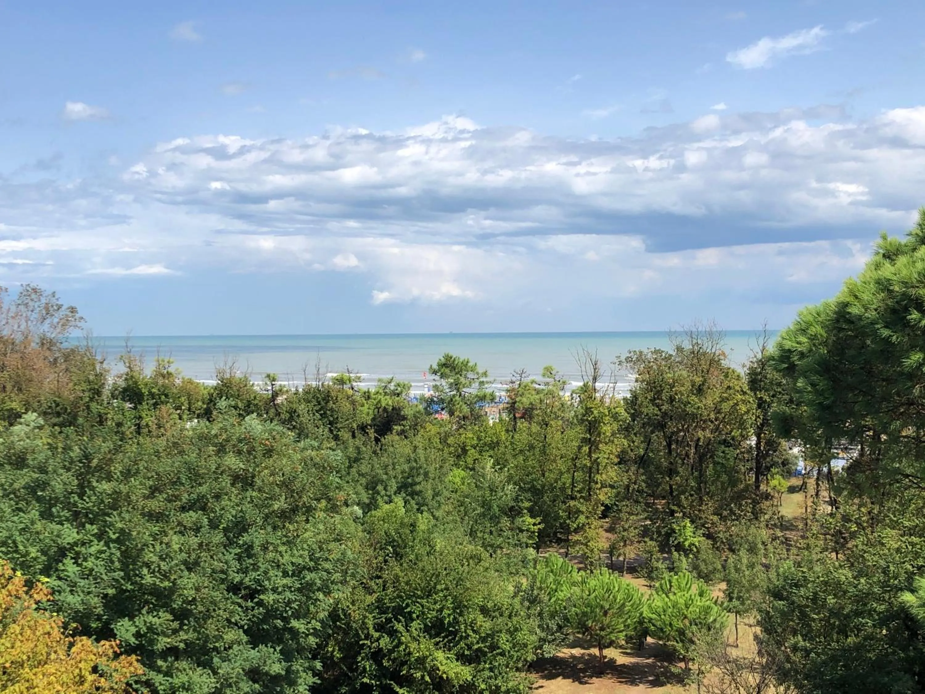 View (from property/room) in New Hotel Chiari