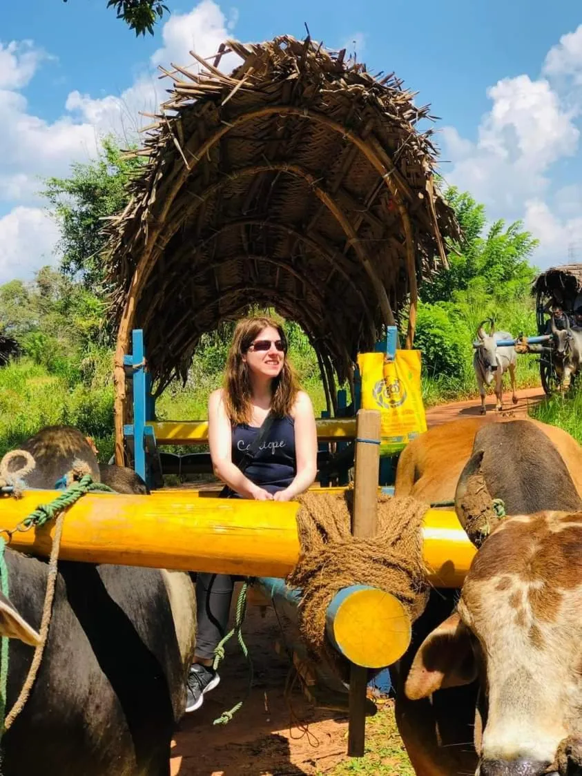 AMRON RESORT SIGIRIYA