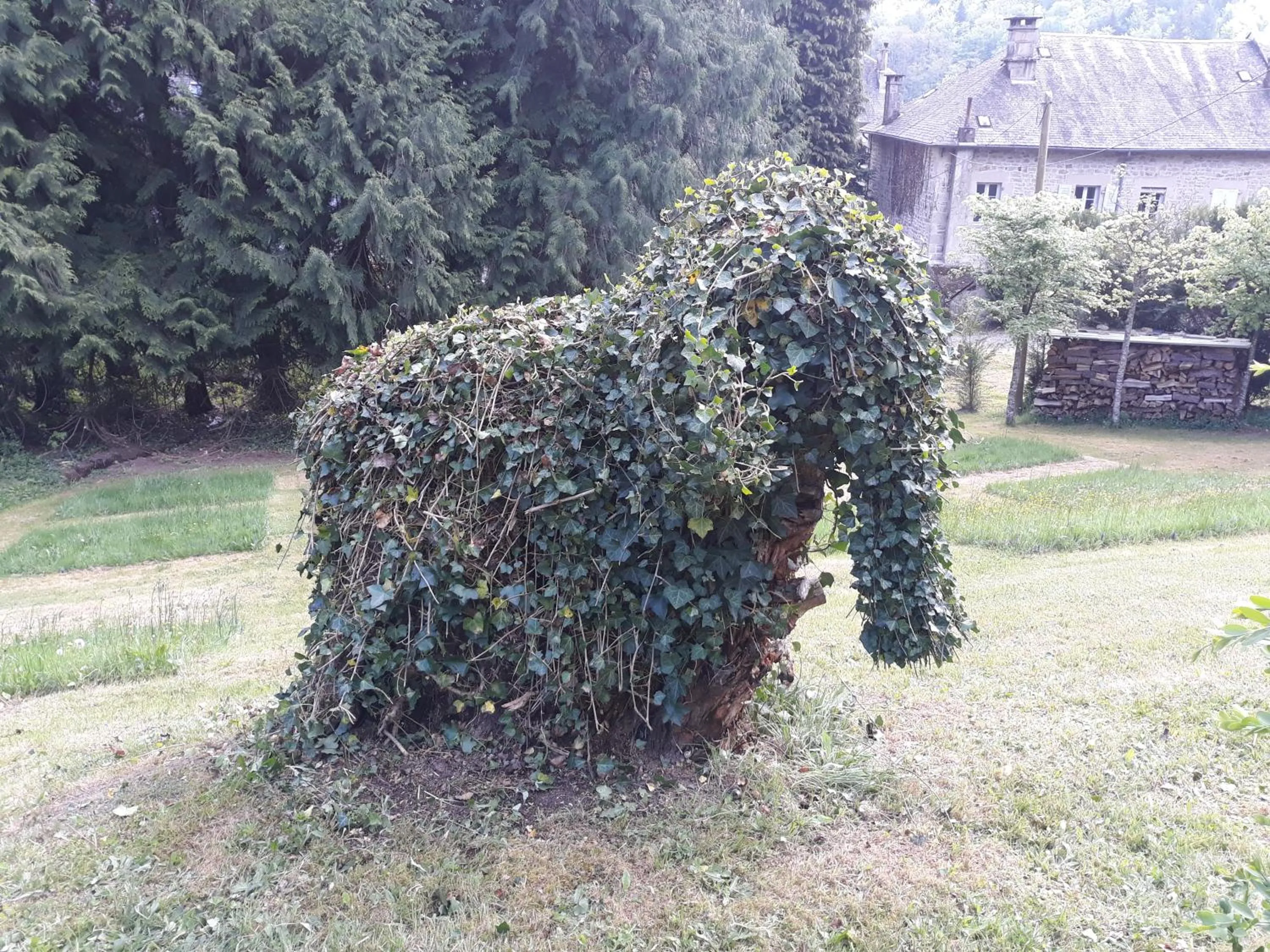 Area and facilities in Le Parc des 4 Saisons