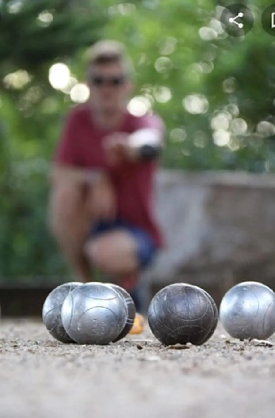 Activities in Le Parc des 4 Saisons