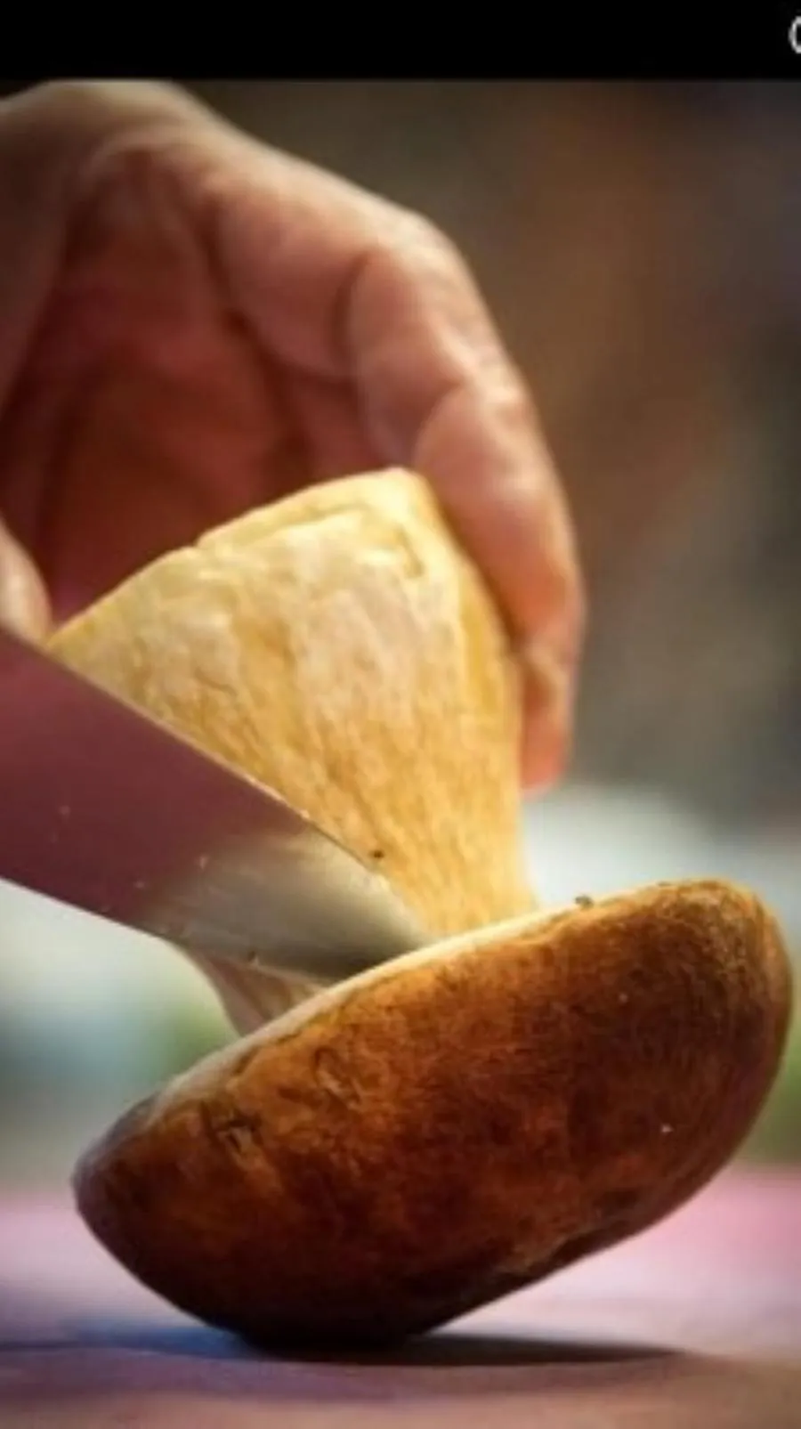 Food close-up in Le Parc des 4 Saisons