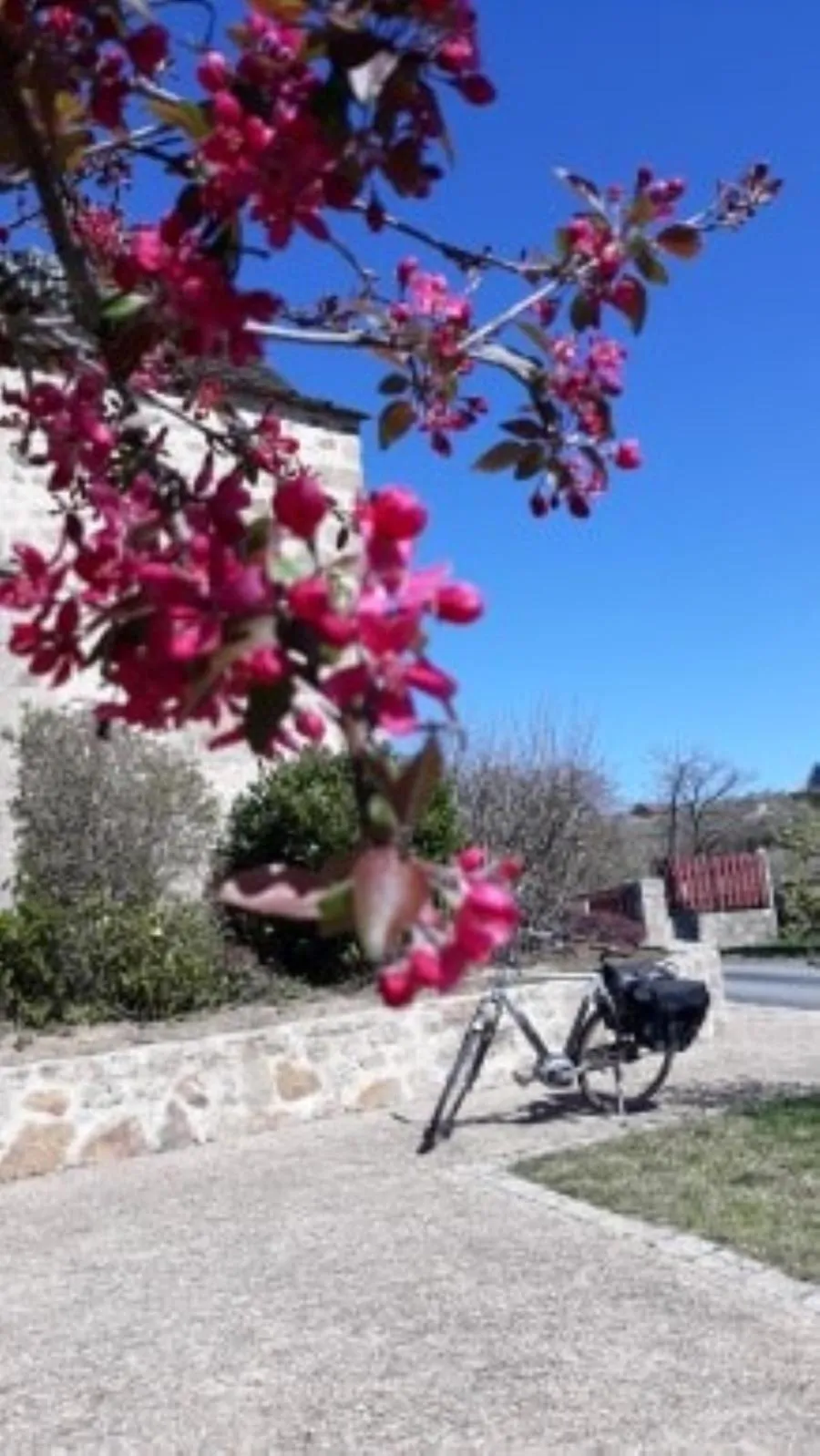 Cycling in Le Parc des 4 Saisons