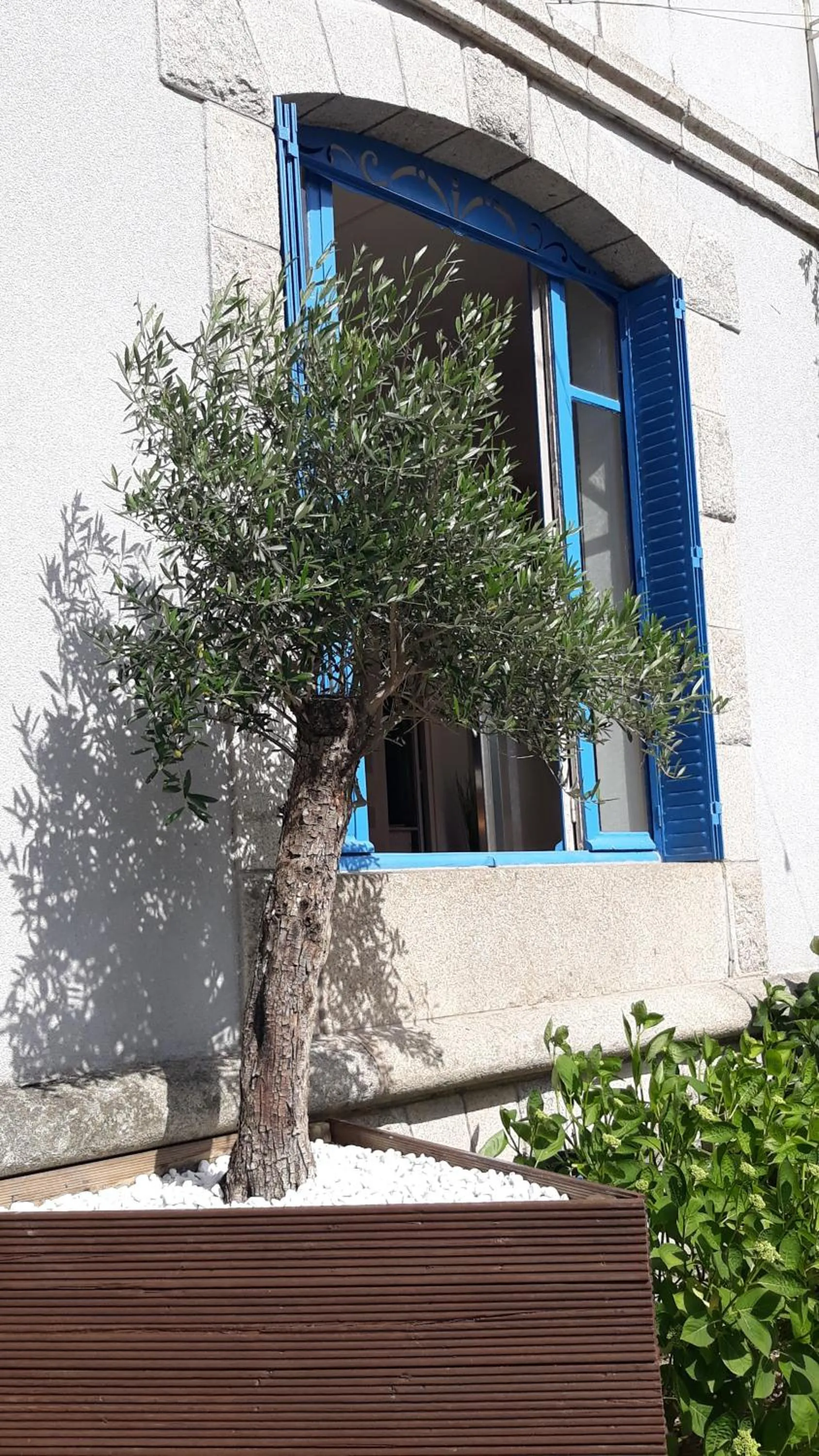 Garden in Le Parc des 4 Saisons