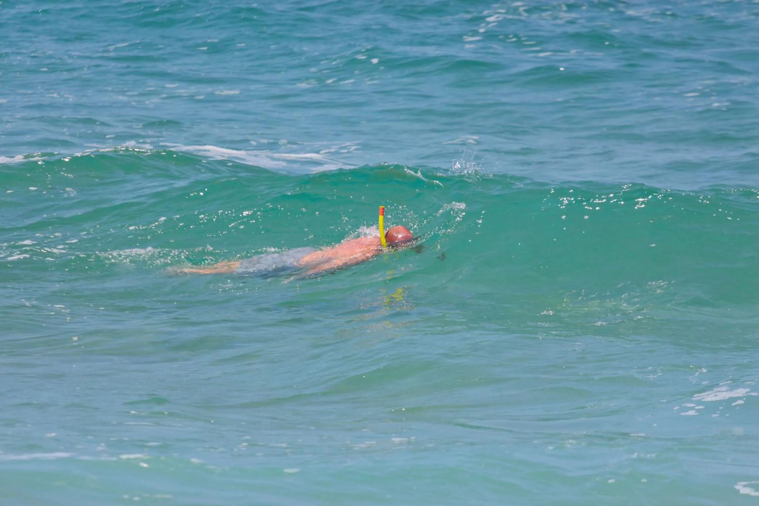 Activities in Elephant Lake Hotel