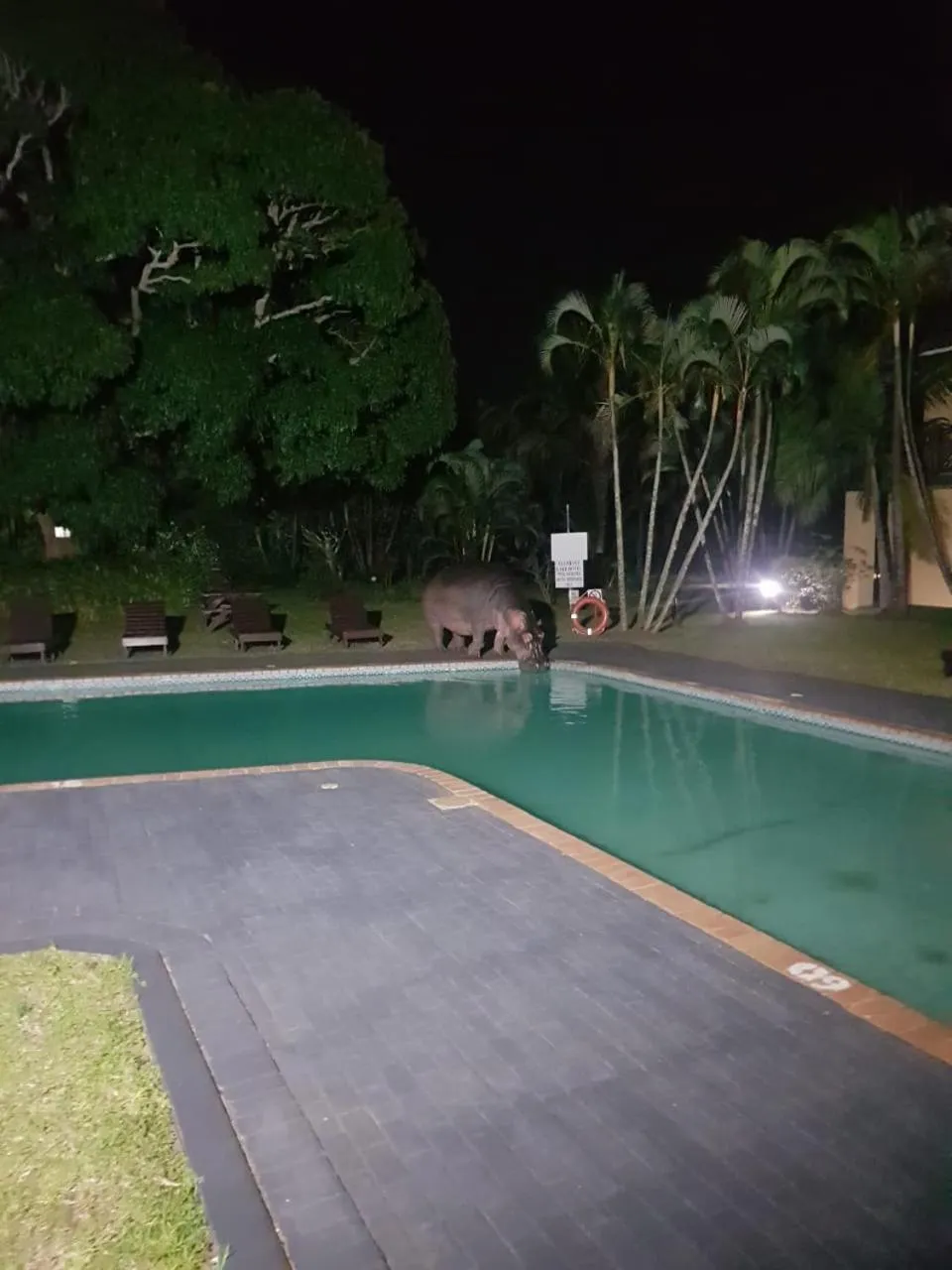 Swimming pool in Elephant Lake Hotel
