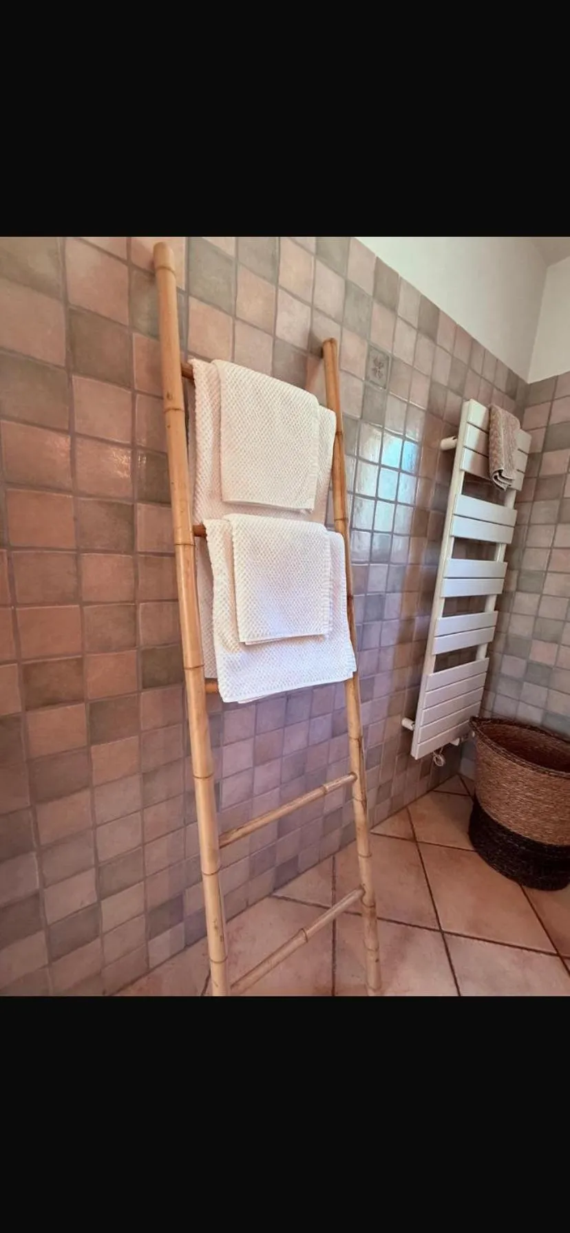 Le Mas des Amandiers