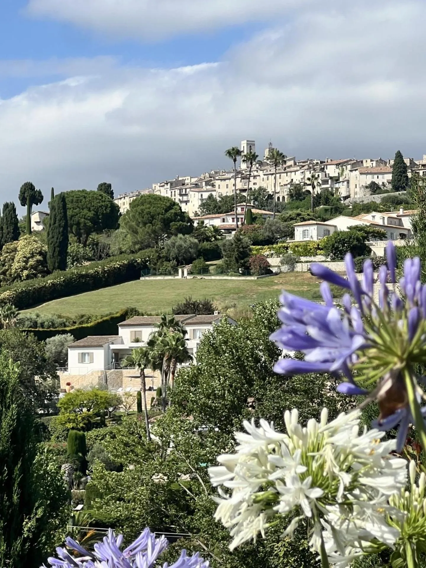 Natural landscape in Le Mas des Amandiers