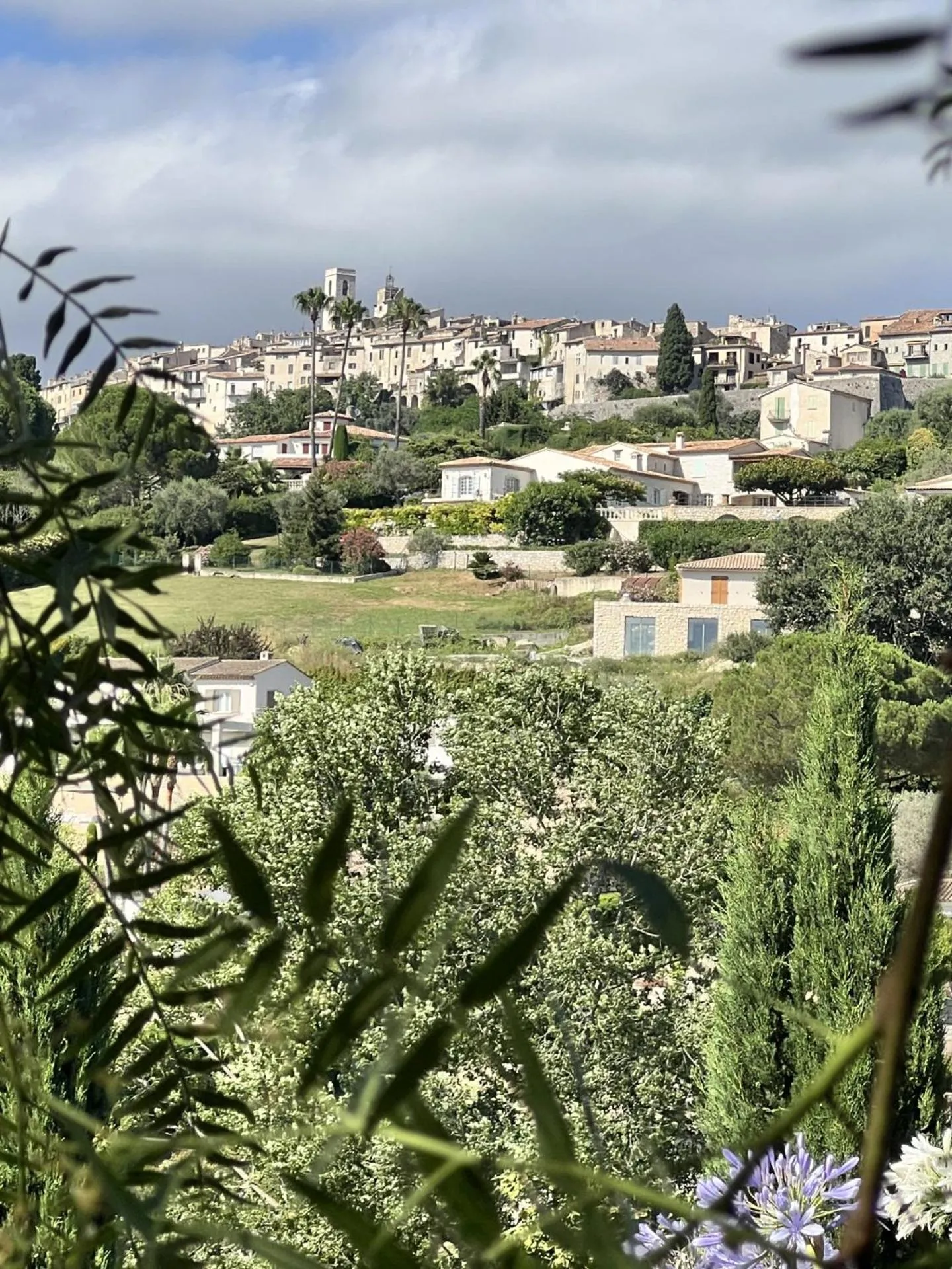 Le Mas des Amandiers