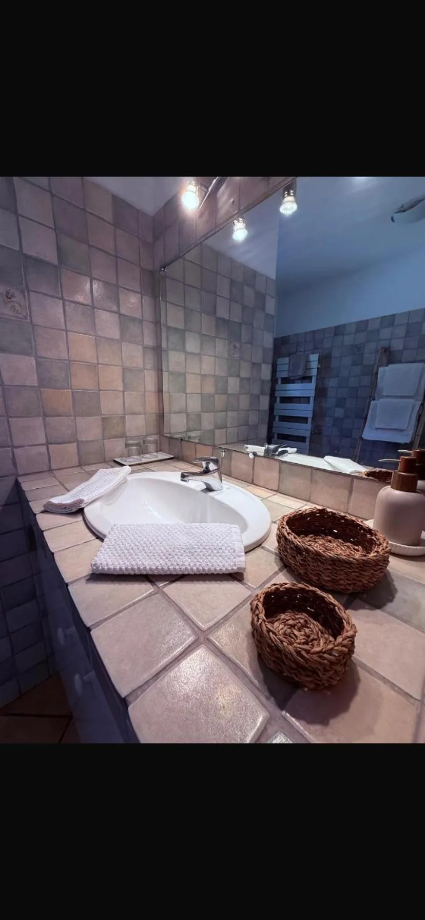 Le Mas des Amandiers