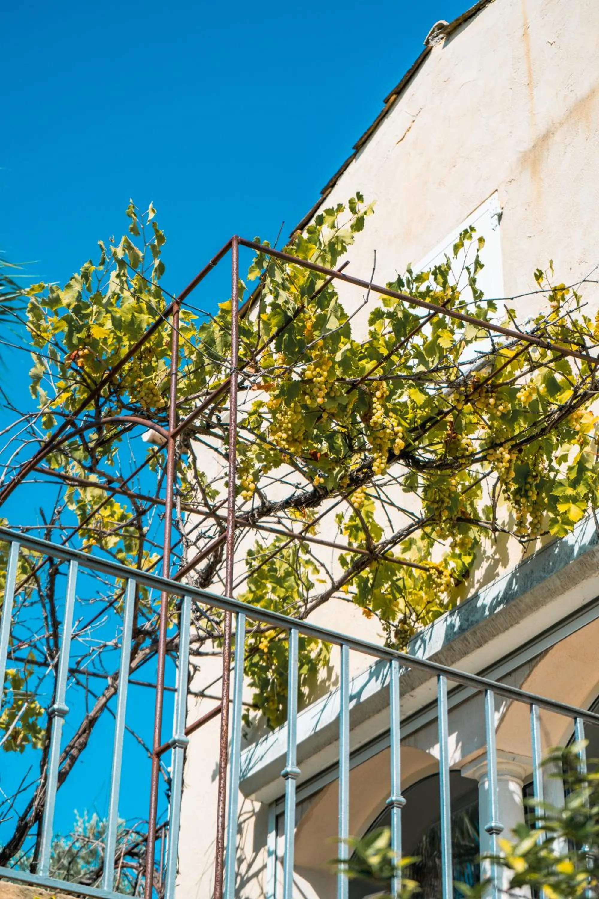 Le Mas des Amandiers