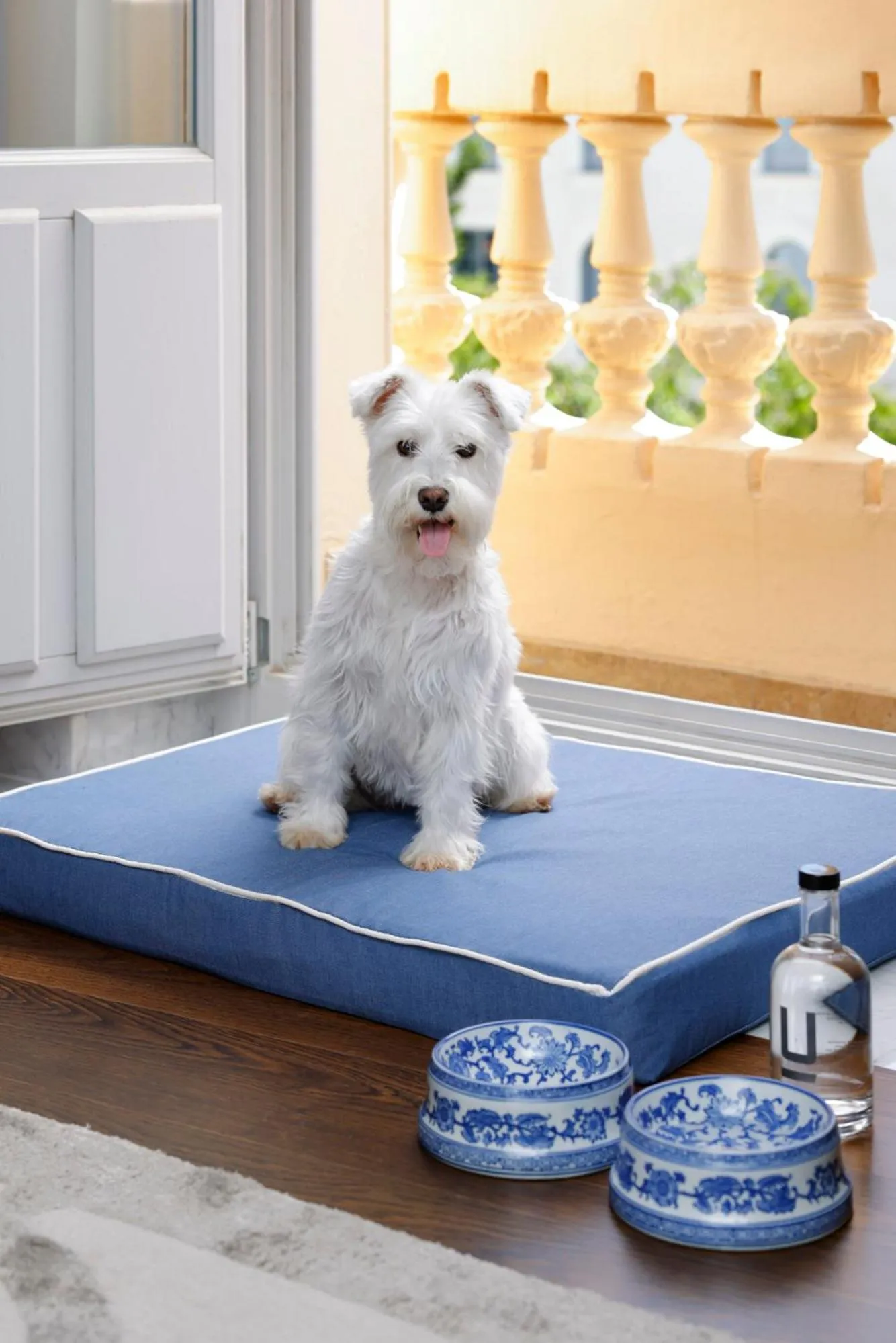 Pets in URSO Hotel & Spa, a Small Luxury Hotel of the World