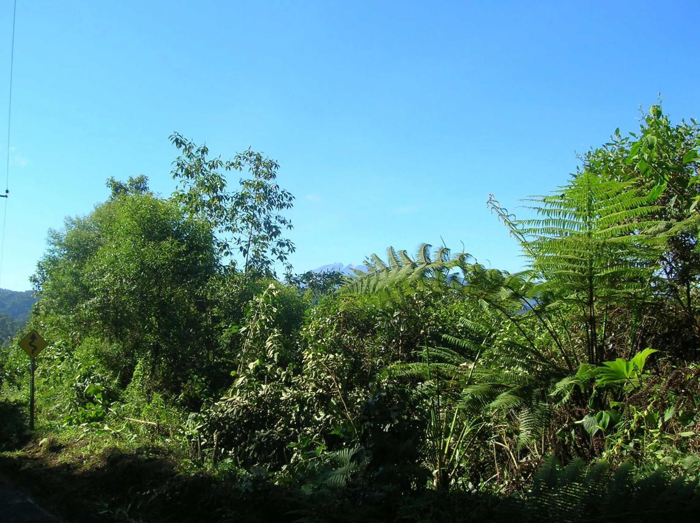 Restaurant/places to eat in Hosteria La Roulotte - Mindo