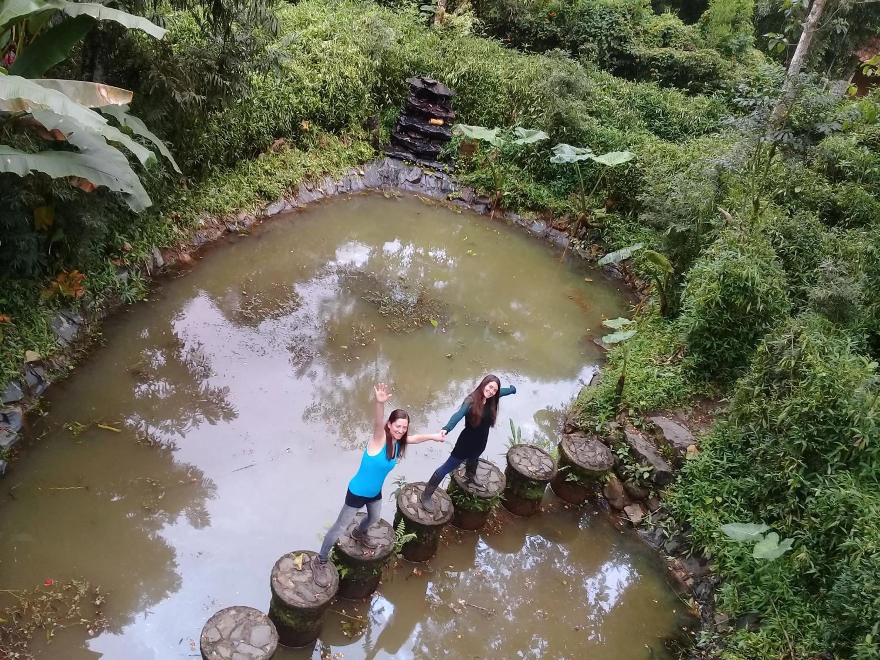 Garden in Hosteria La Roulotte - Mindo