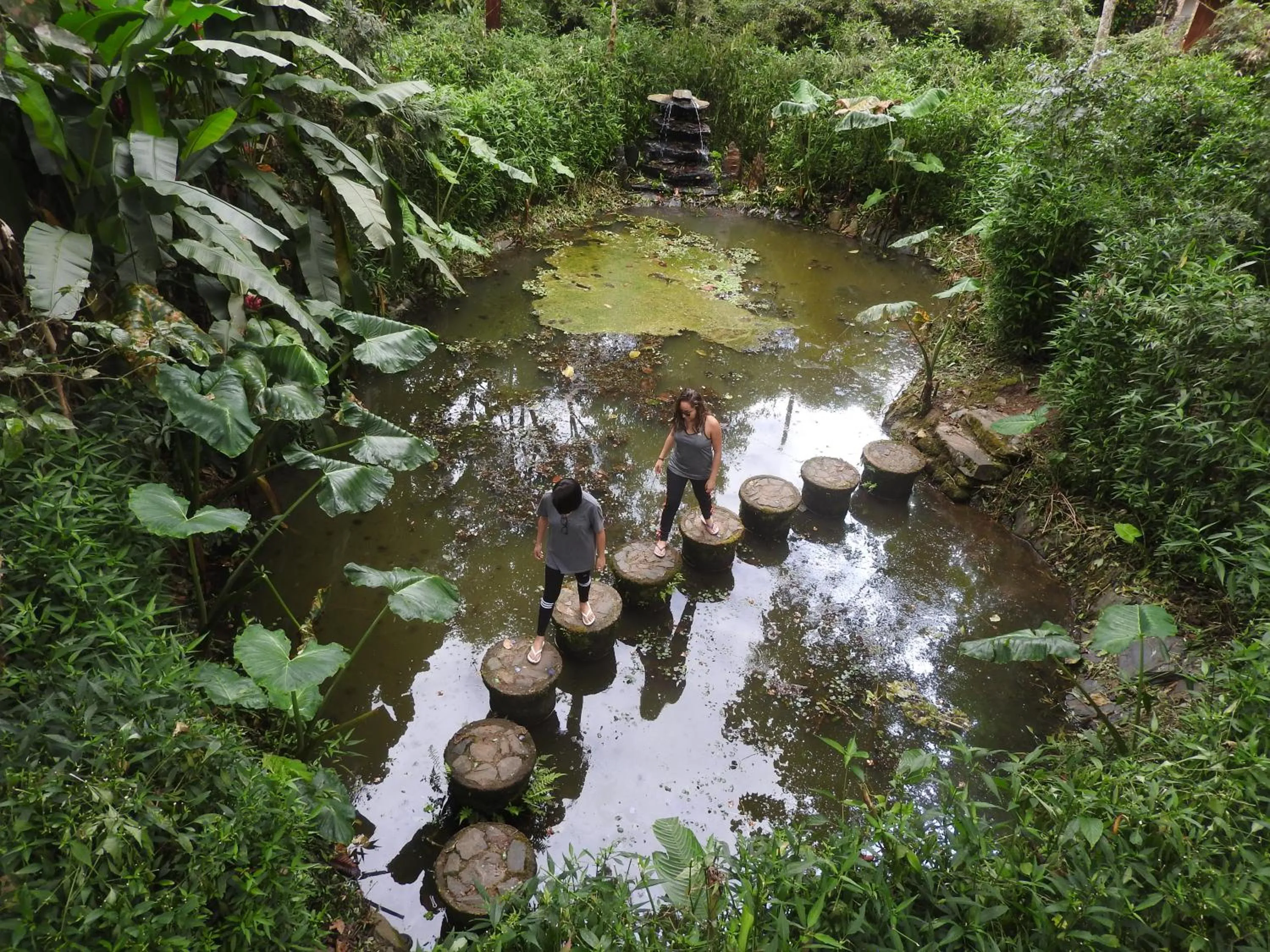 Other in Hosteria La Roulotte - Mindo