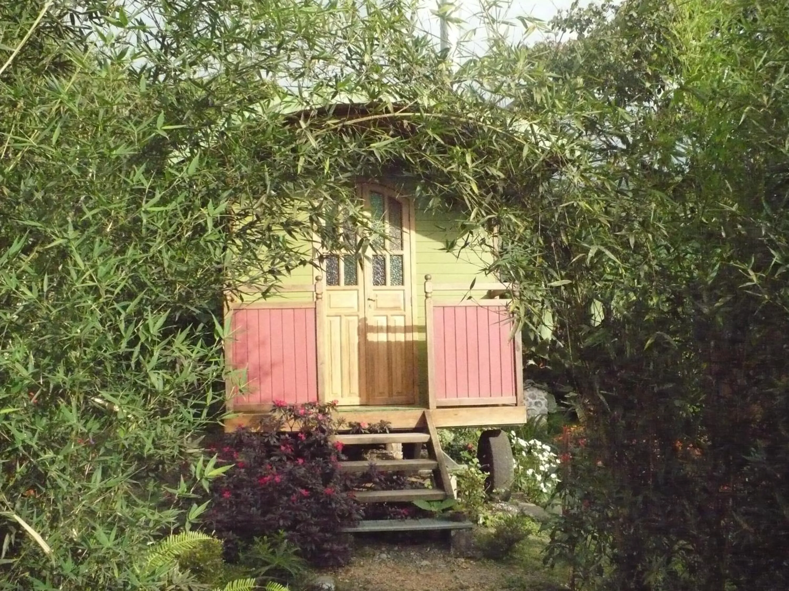 Photo of the whole room in Hosteria La Roulotte - Mindo