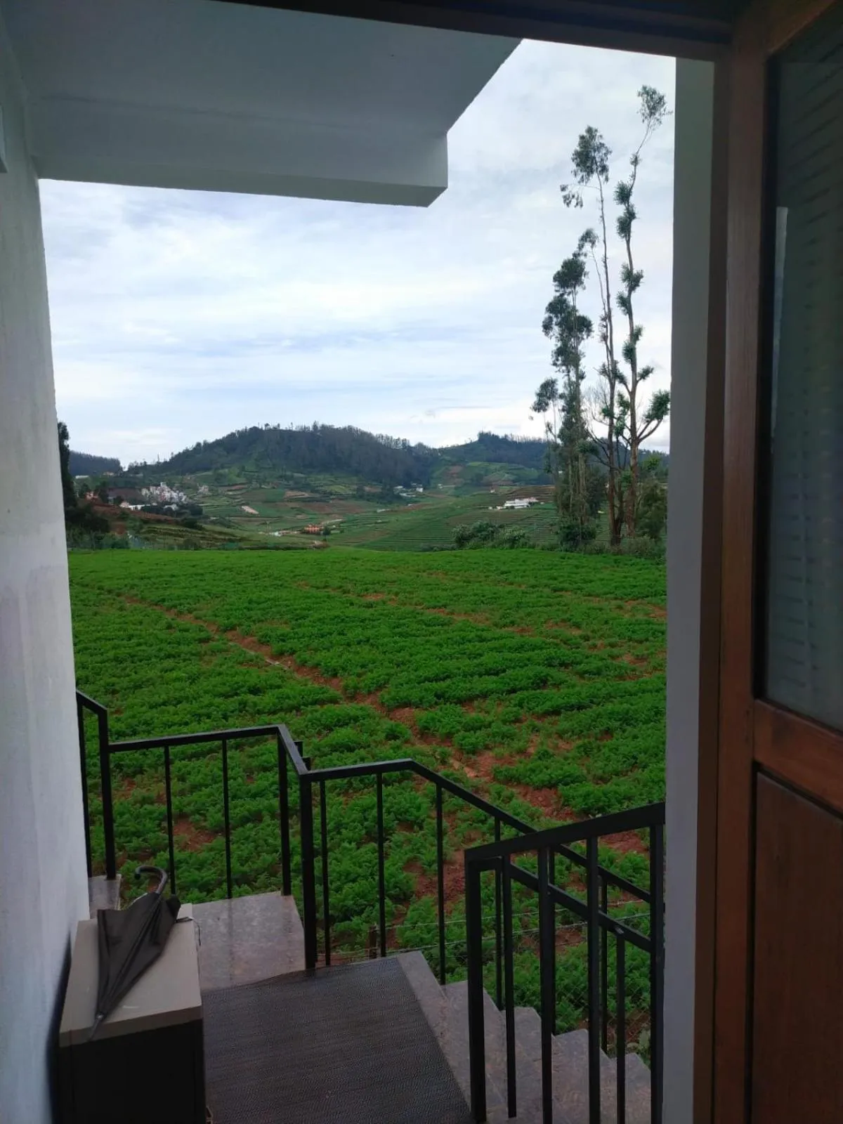 Britiish county Green home resorts ooty