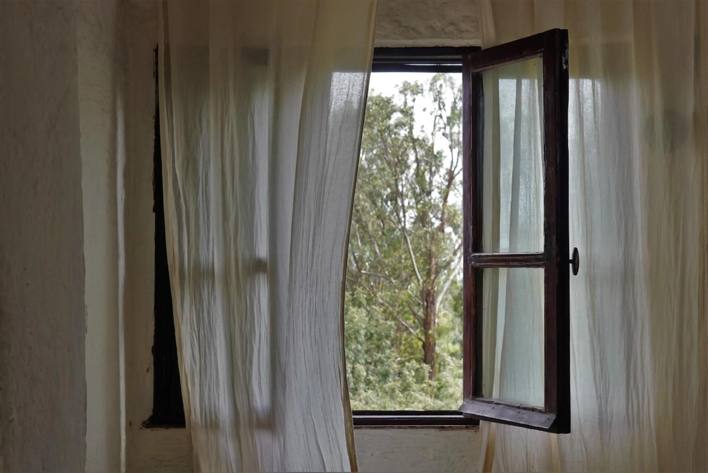 View (from property/room) in Tryst Boutique Hotel