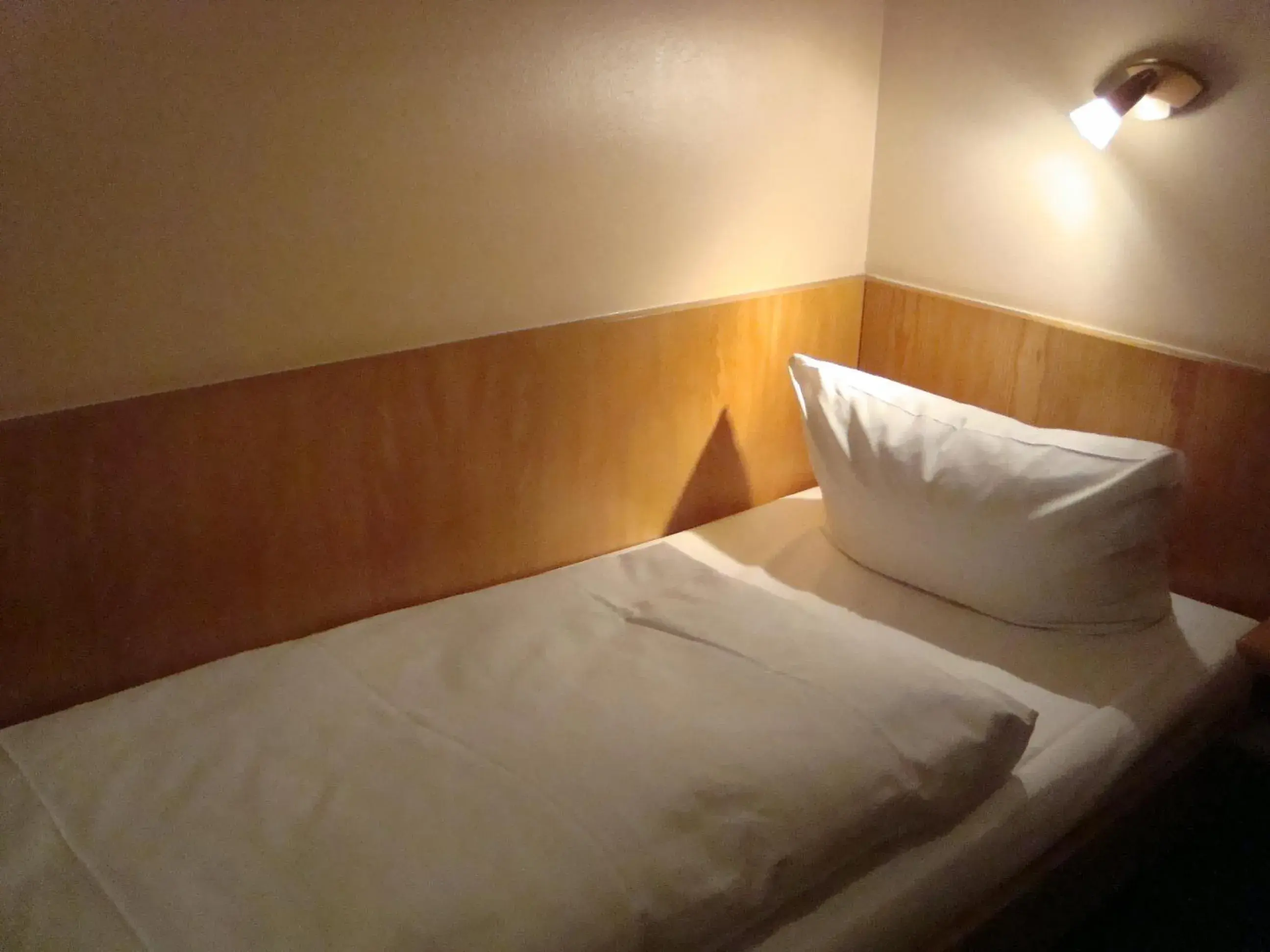 Single Room in Hotel Gartenhof Single Room in Hotel Gartenhof