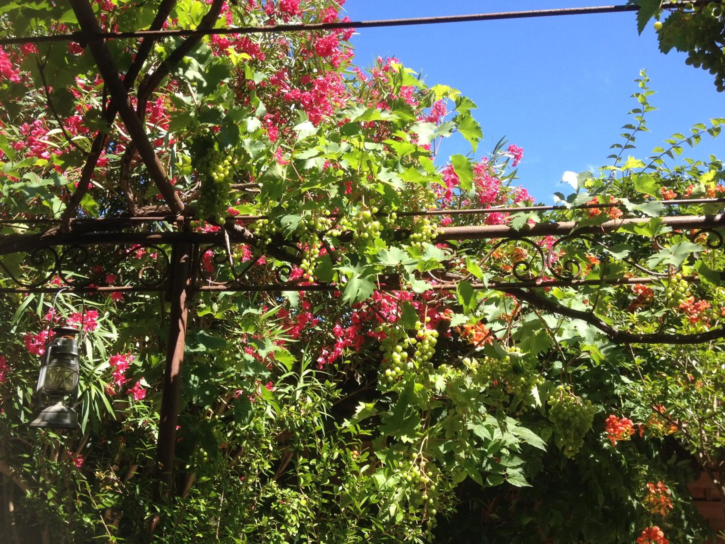 Fitness centre/facilities in La Demeure du Pressoir