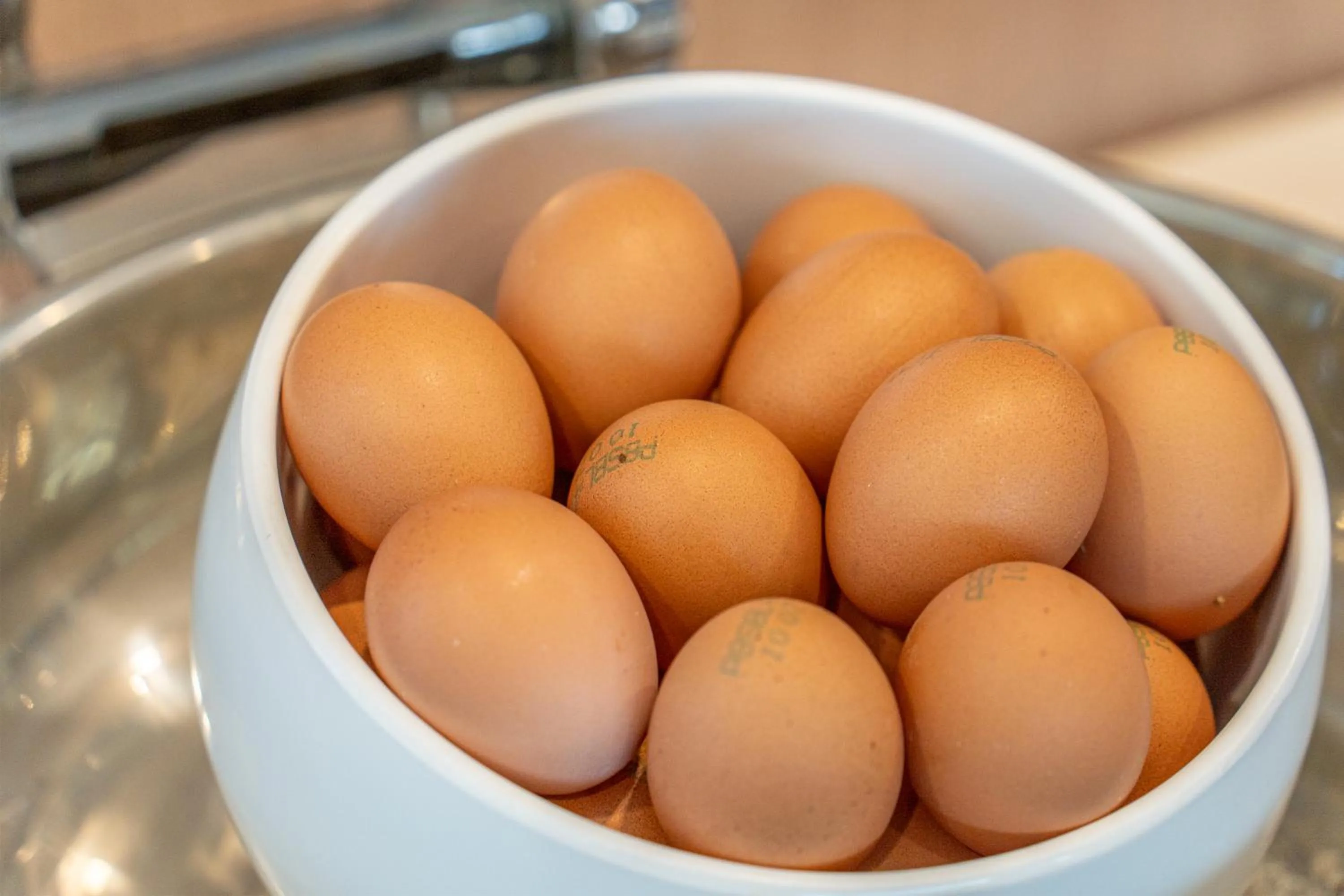 Donghae Gloria Hotel